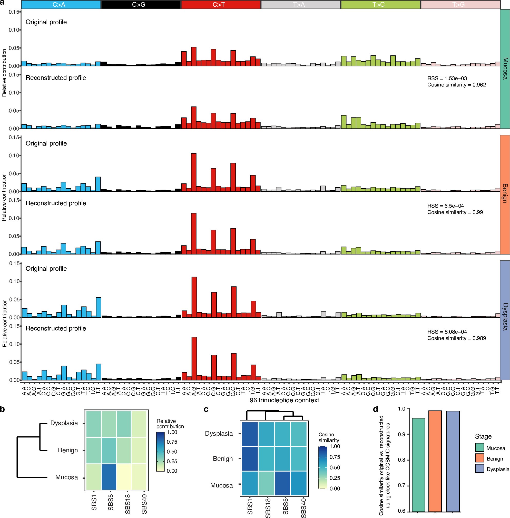 Extended Data Fig. 5: SNV signatures using WGS data and known COSMIC signatures.