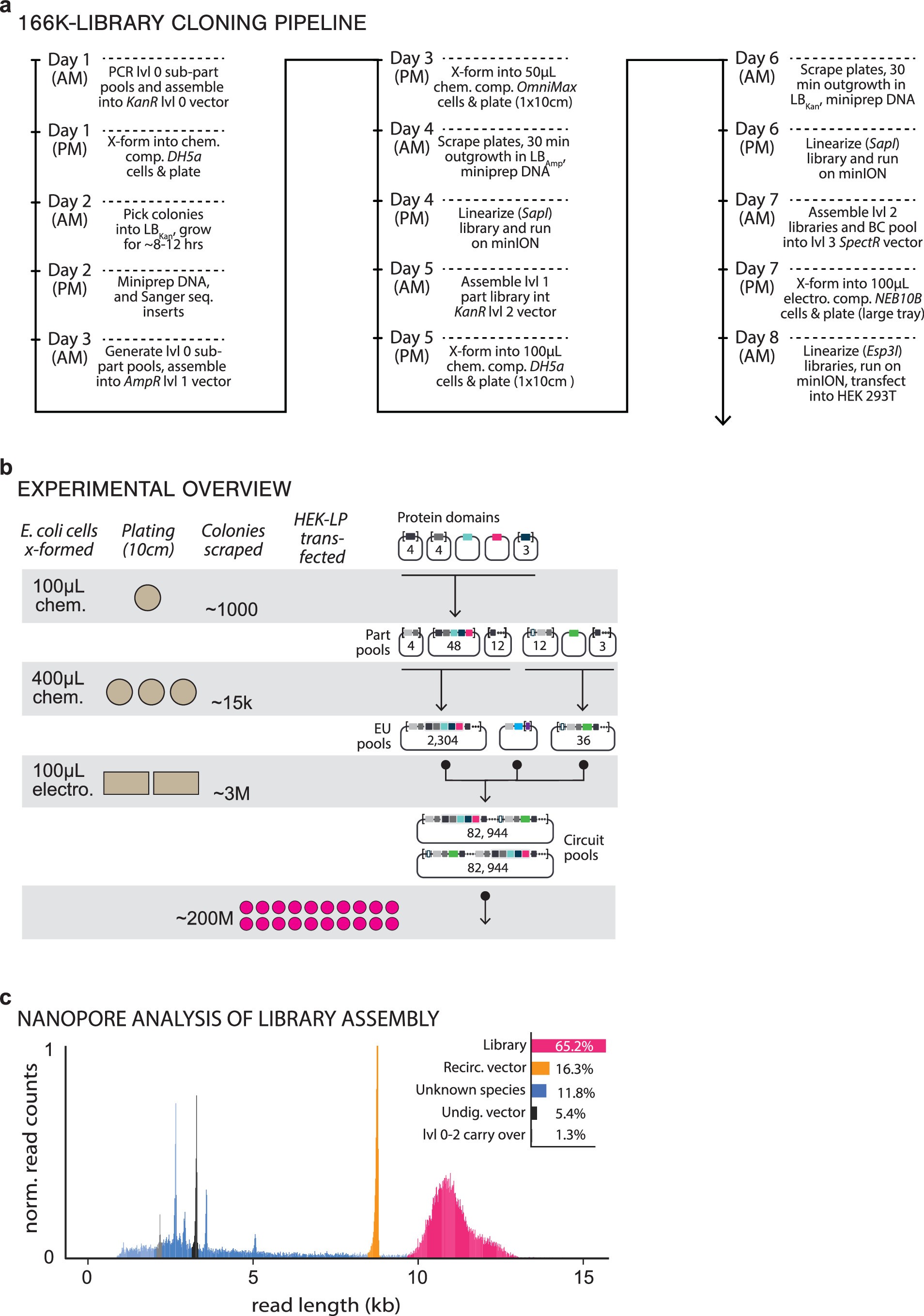 Extended Data Fig. 1: Overview of 166K-member gene circuit library construction.