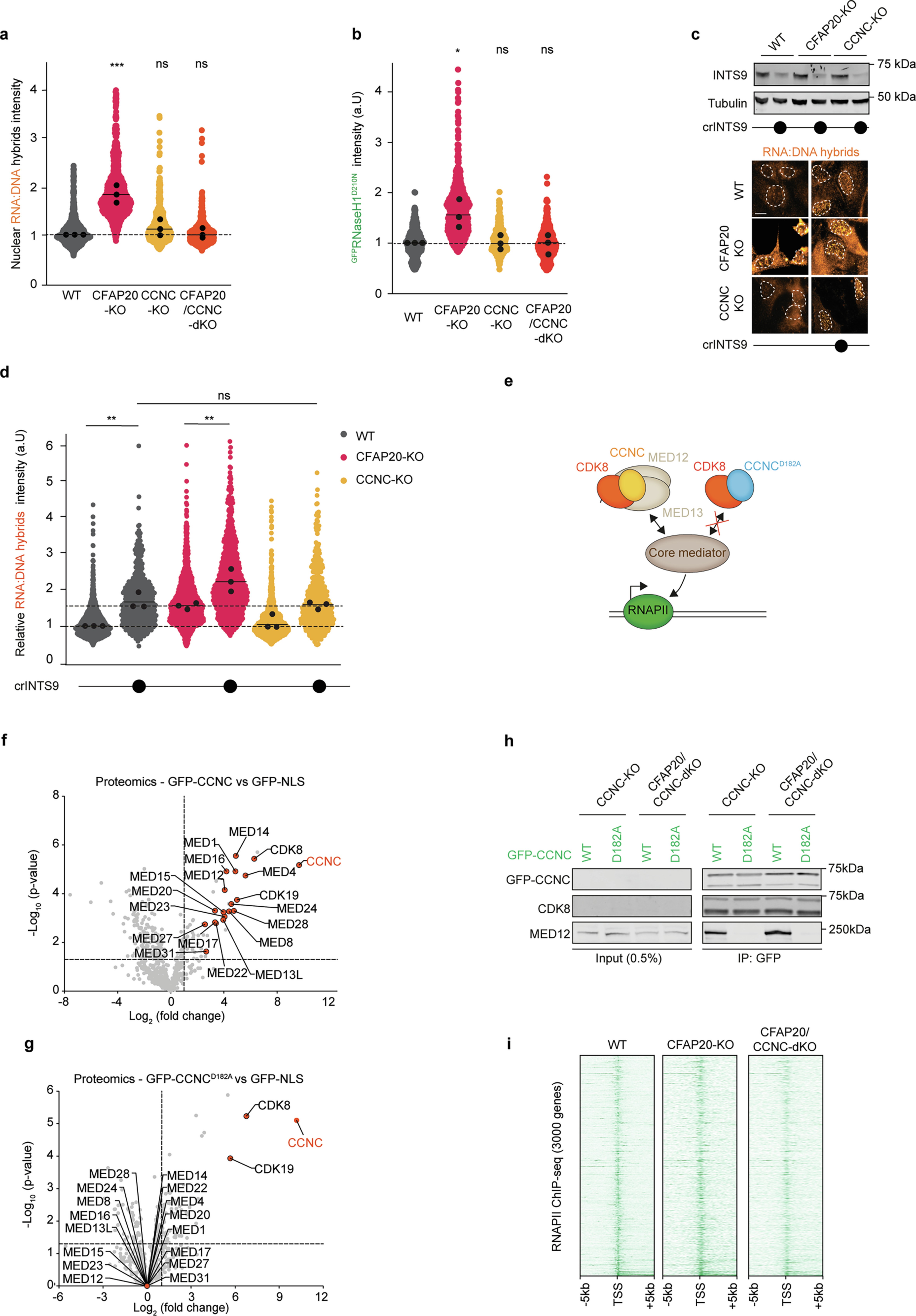 Extended Data Fig. 5