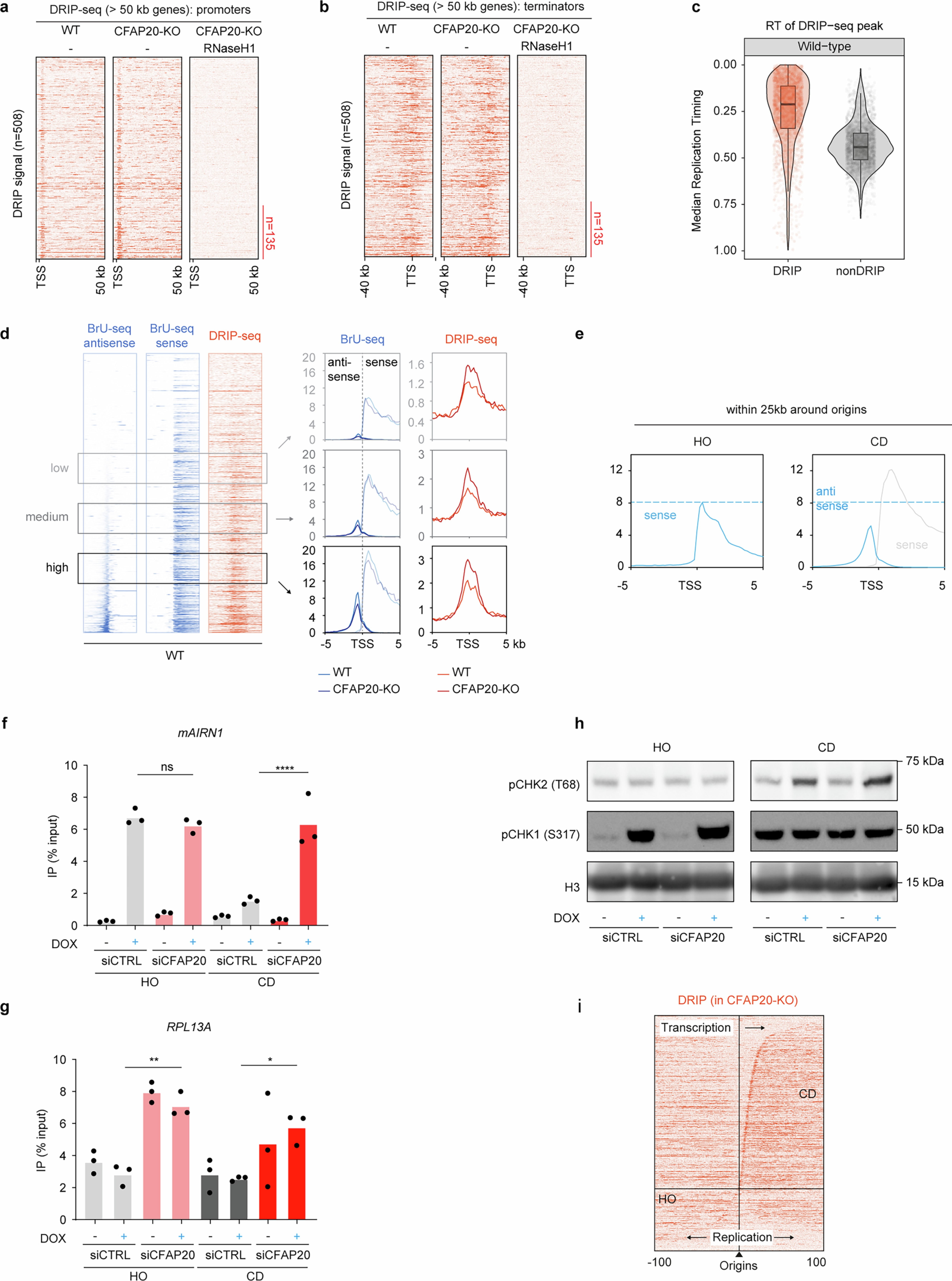 Extended Data Fig. 6