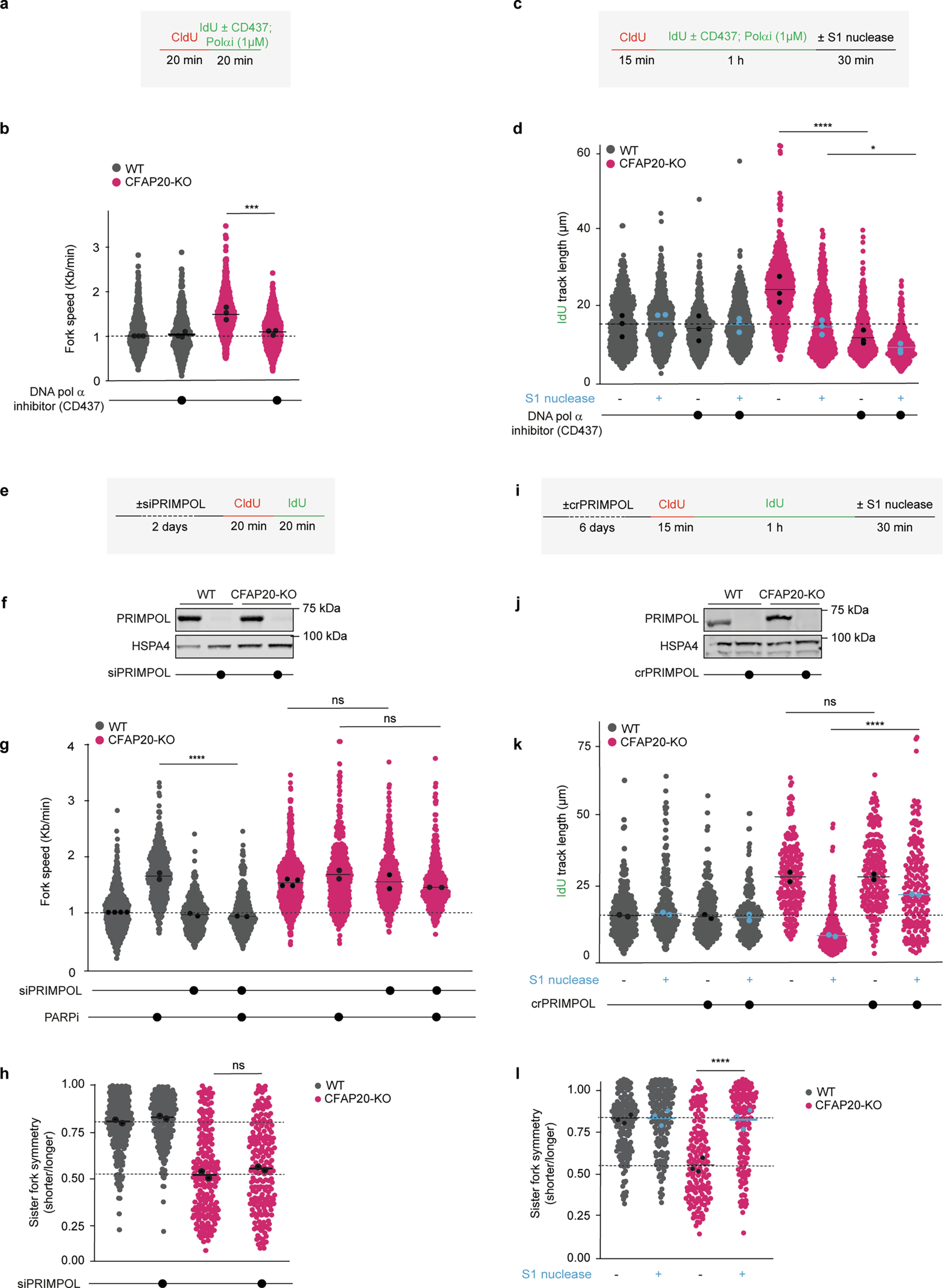 Extended Data Fig. 9