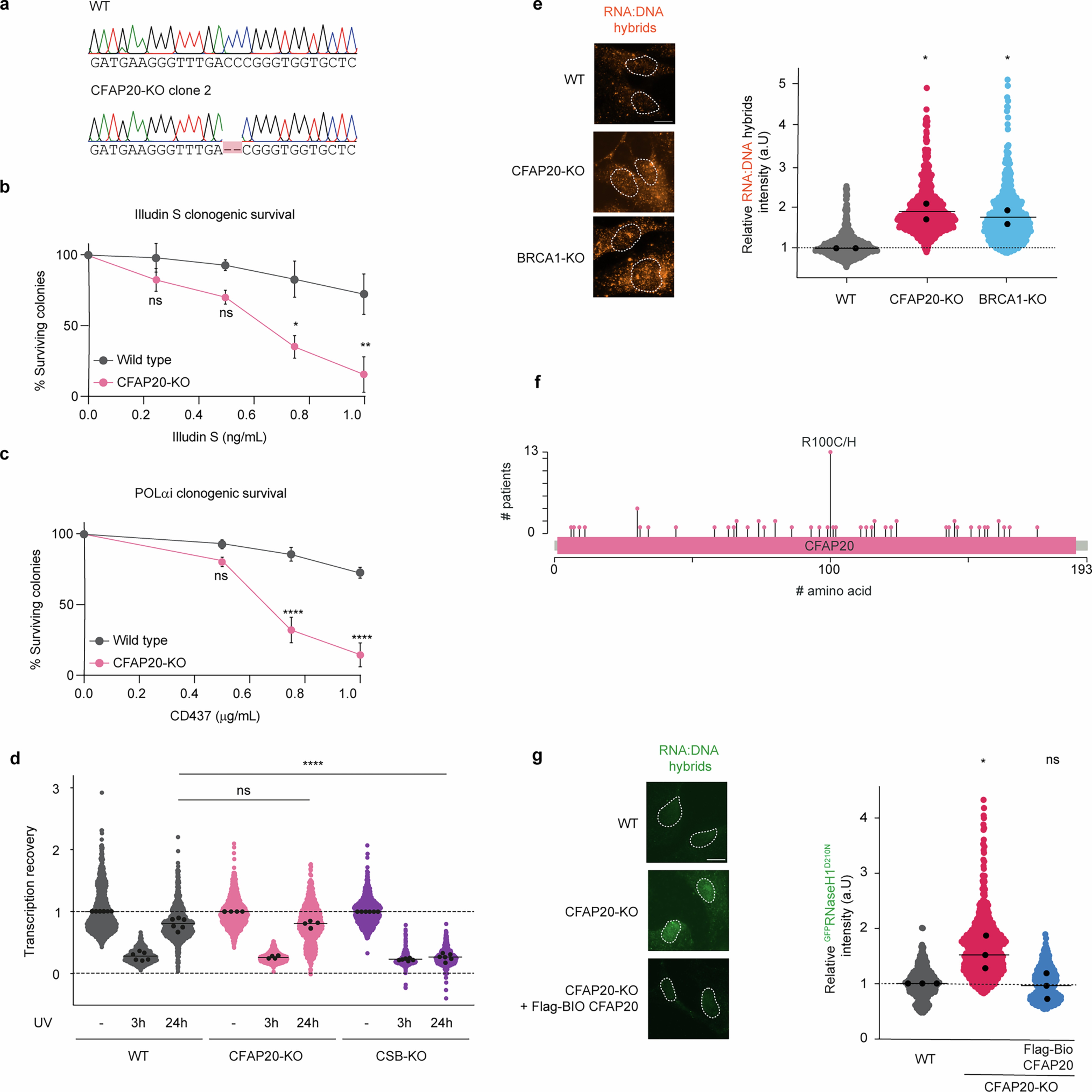 Extended Data Fig. 3