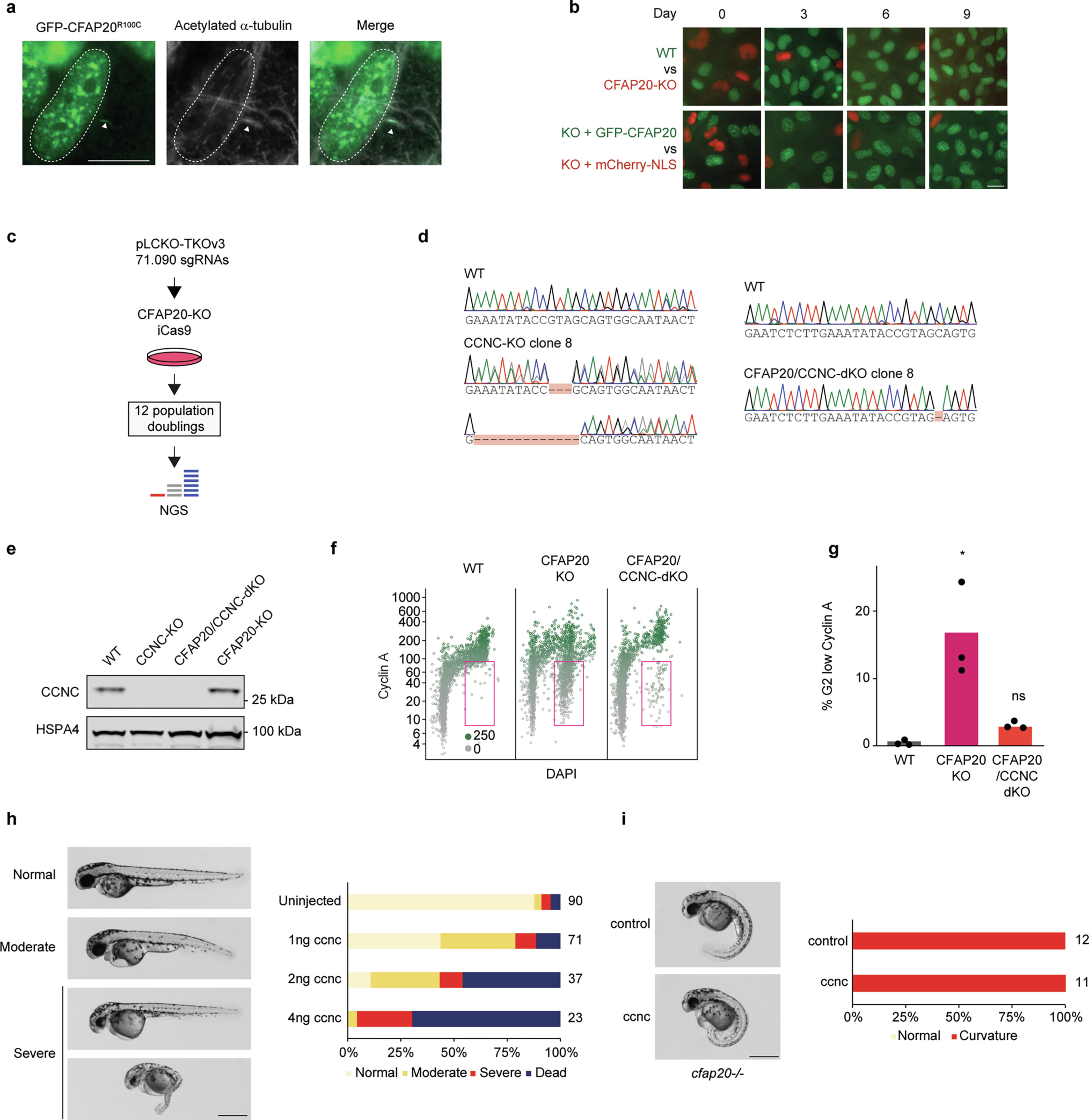 Extended Data Fig. 4