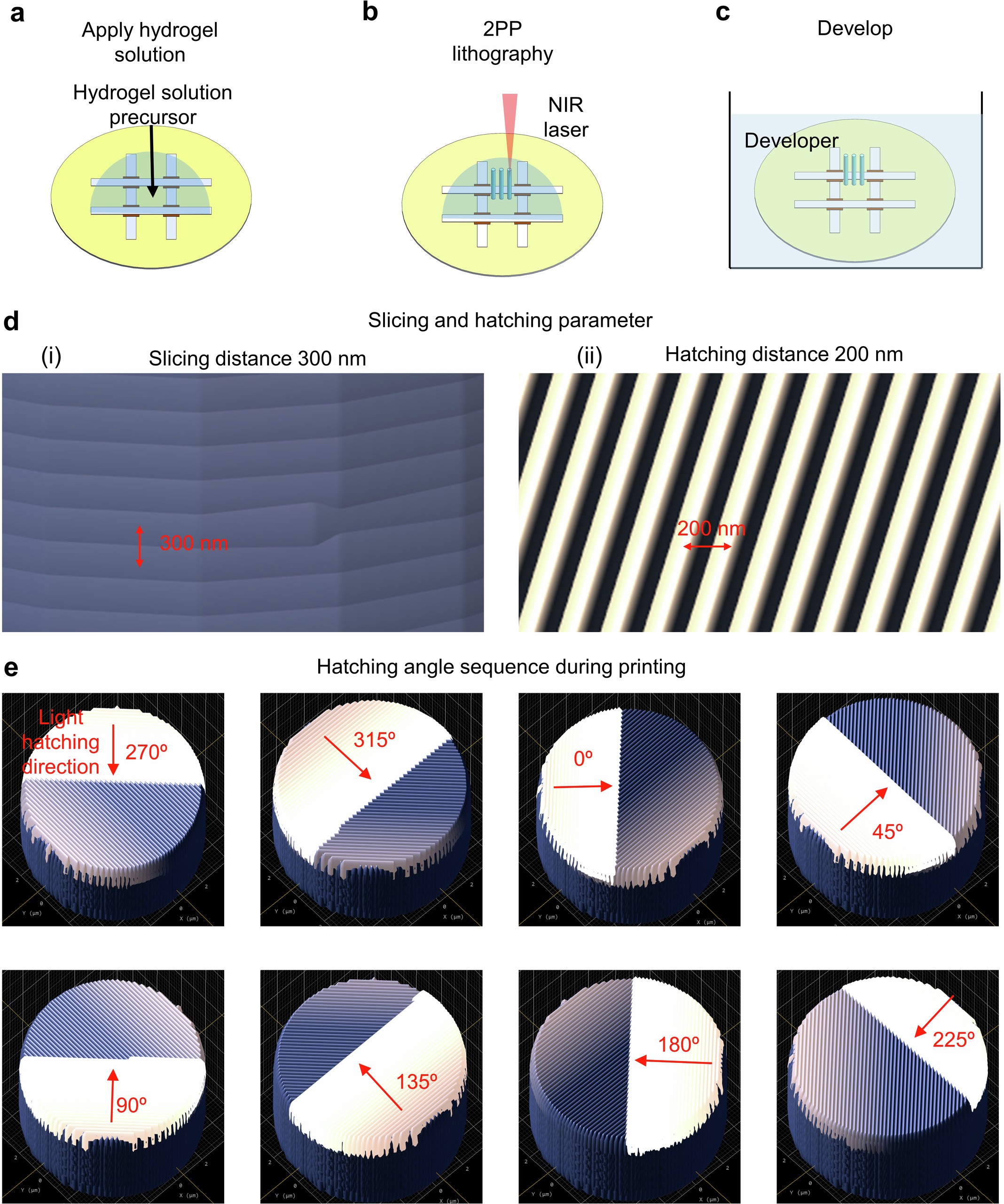 Extended Data Fig. 3: Hydrogel microactuator printing.
