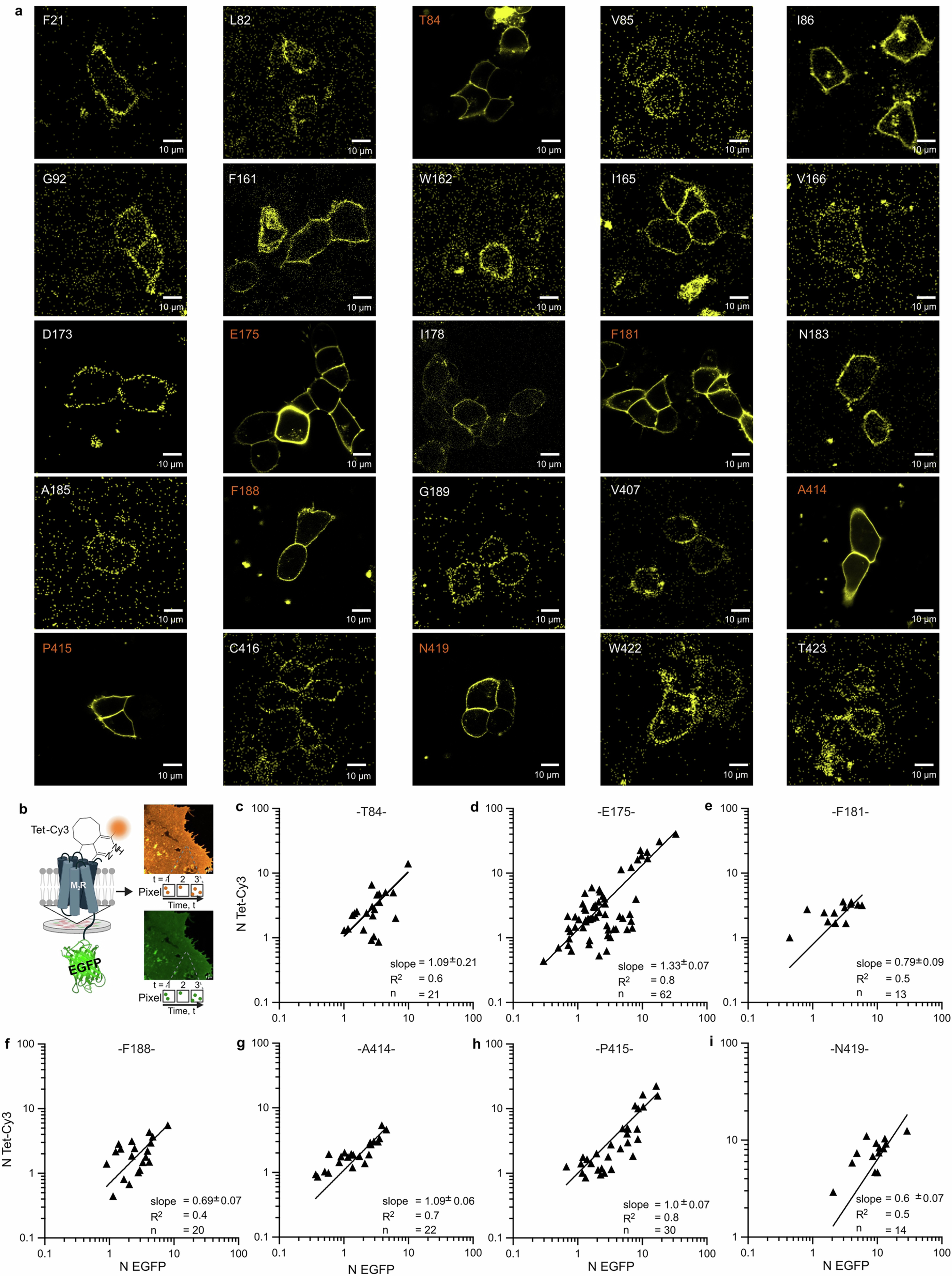 Extended Data Fig. 1