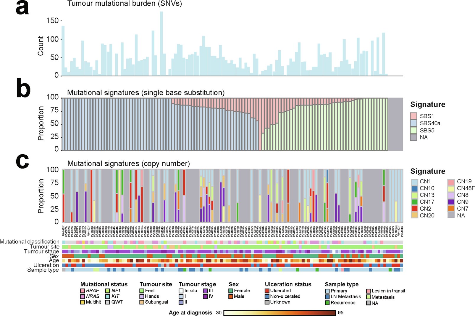 Extended Data Fig. 5: Mutational signatures found in acral melanoma samples from Mexican patients.