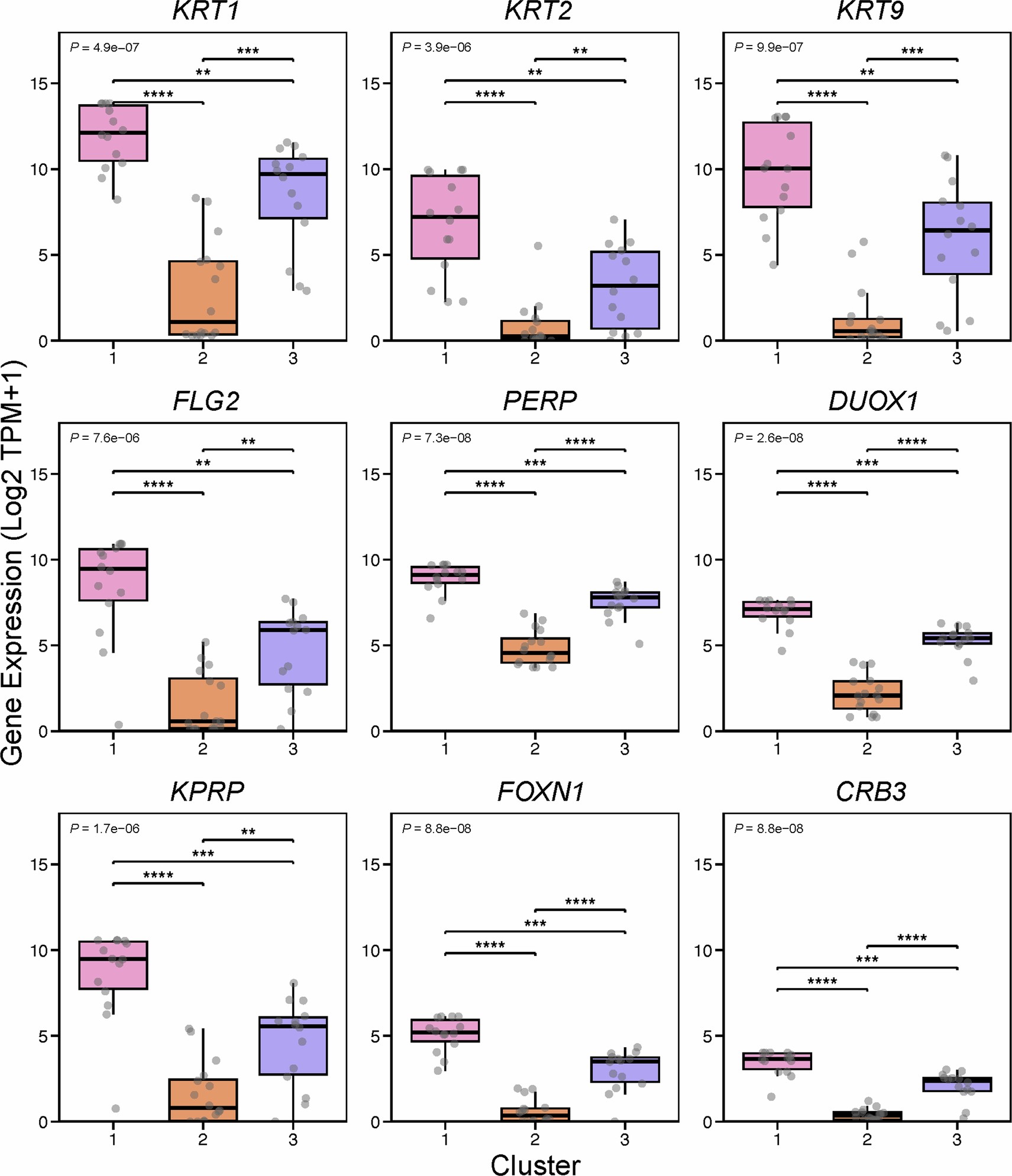 Extended Data Fig. 7: Gene expression for a selection of genes found associated to Cluster 1.