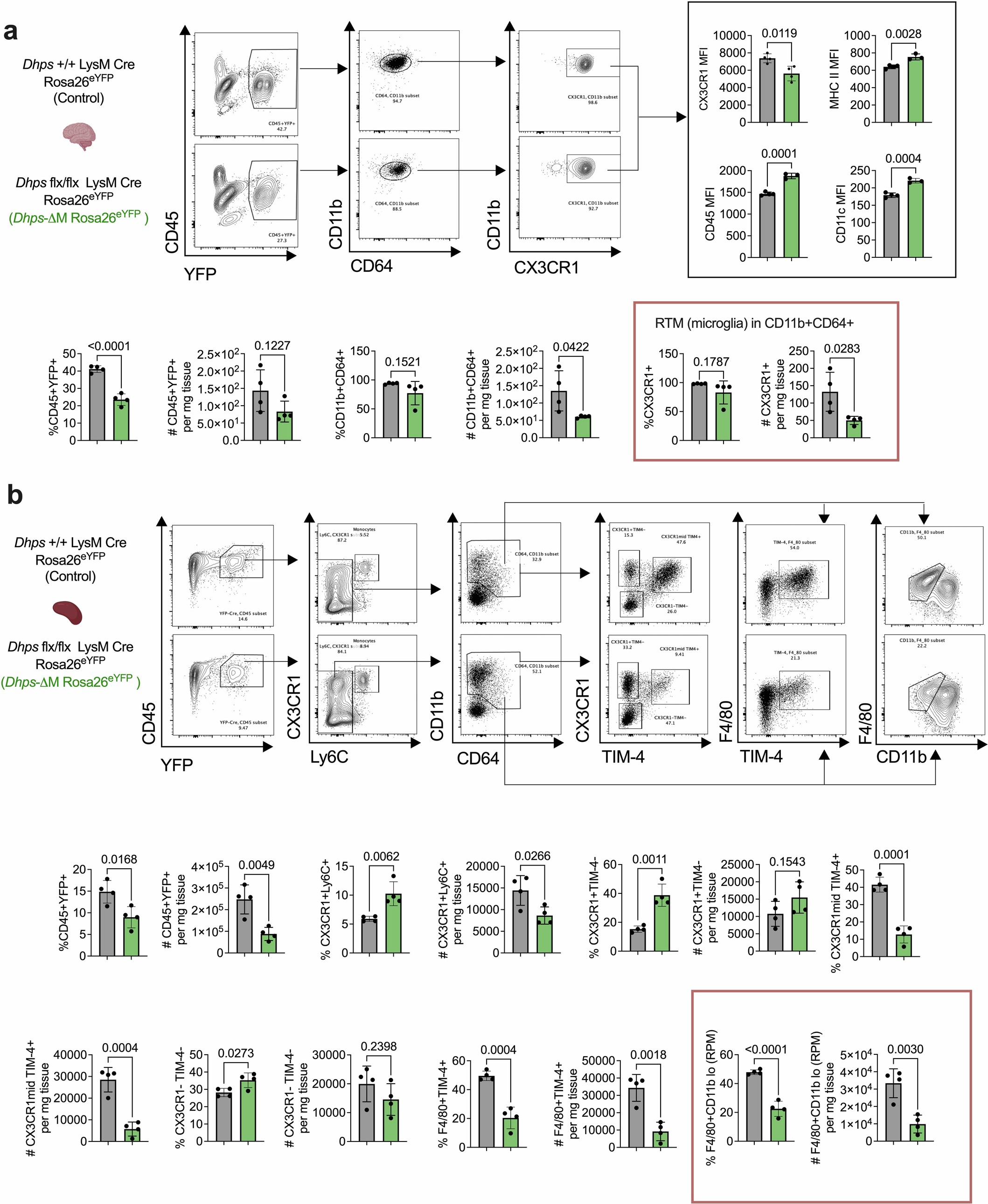 Extended Data Fig. 3: Frequency and absolute numbers of RTM and macrophage subpopulations in brain and spleen.