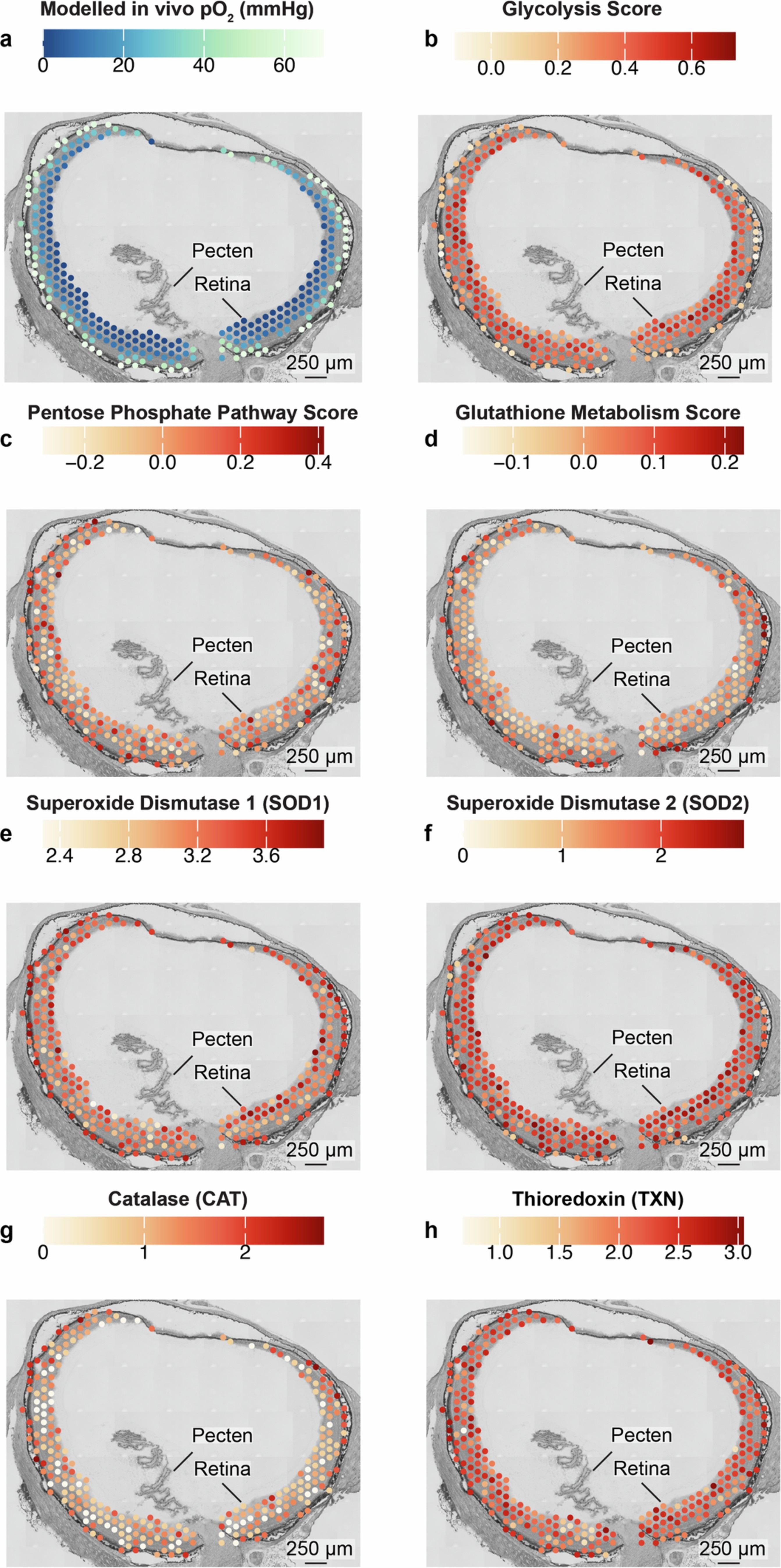 Extended Data Fig. 2