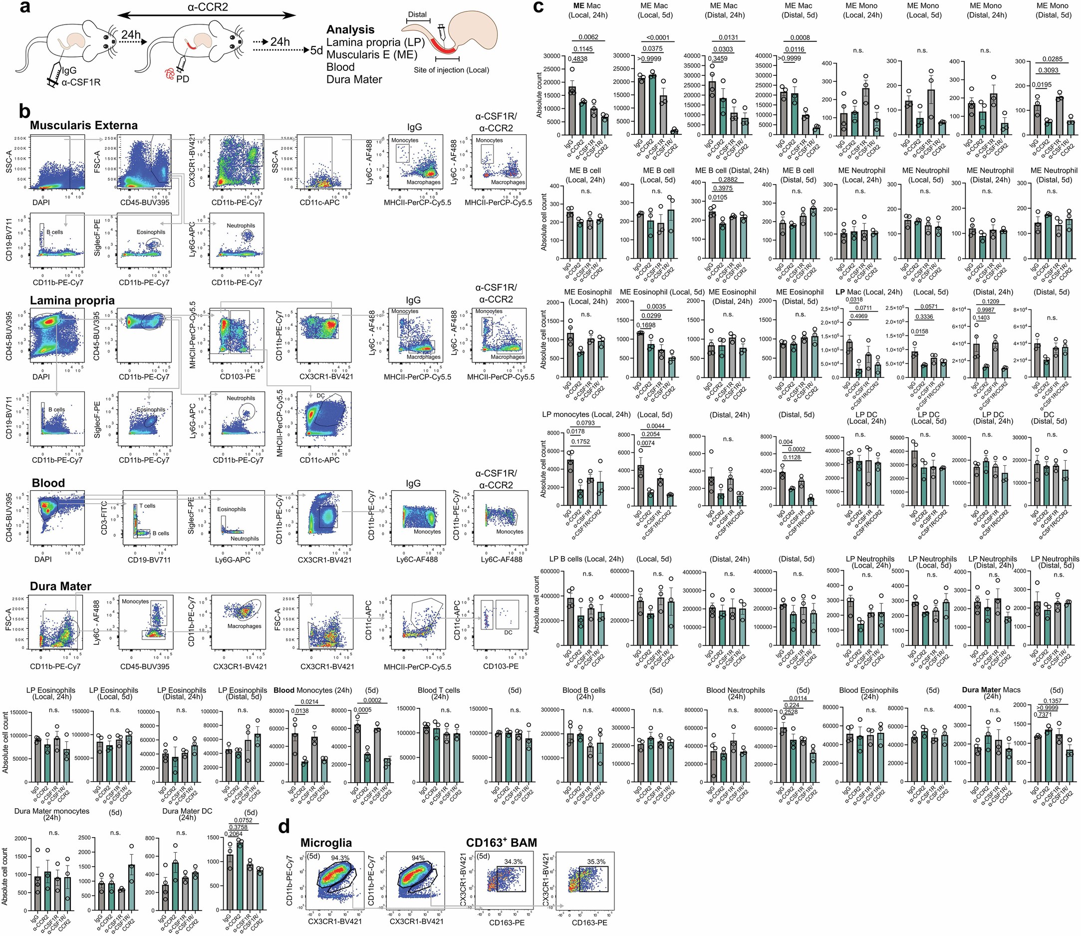 Extended Data Fig. 8: Depletion strategy of ME-Macs.