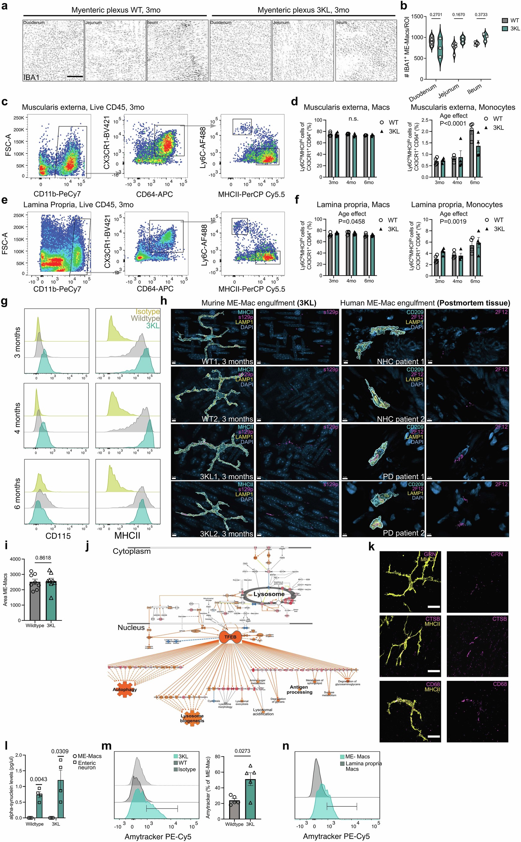 Extended Data Fig. 2