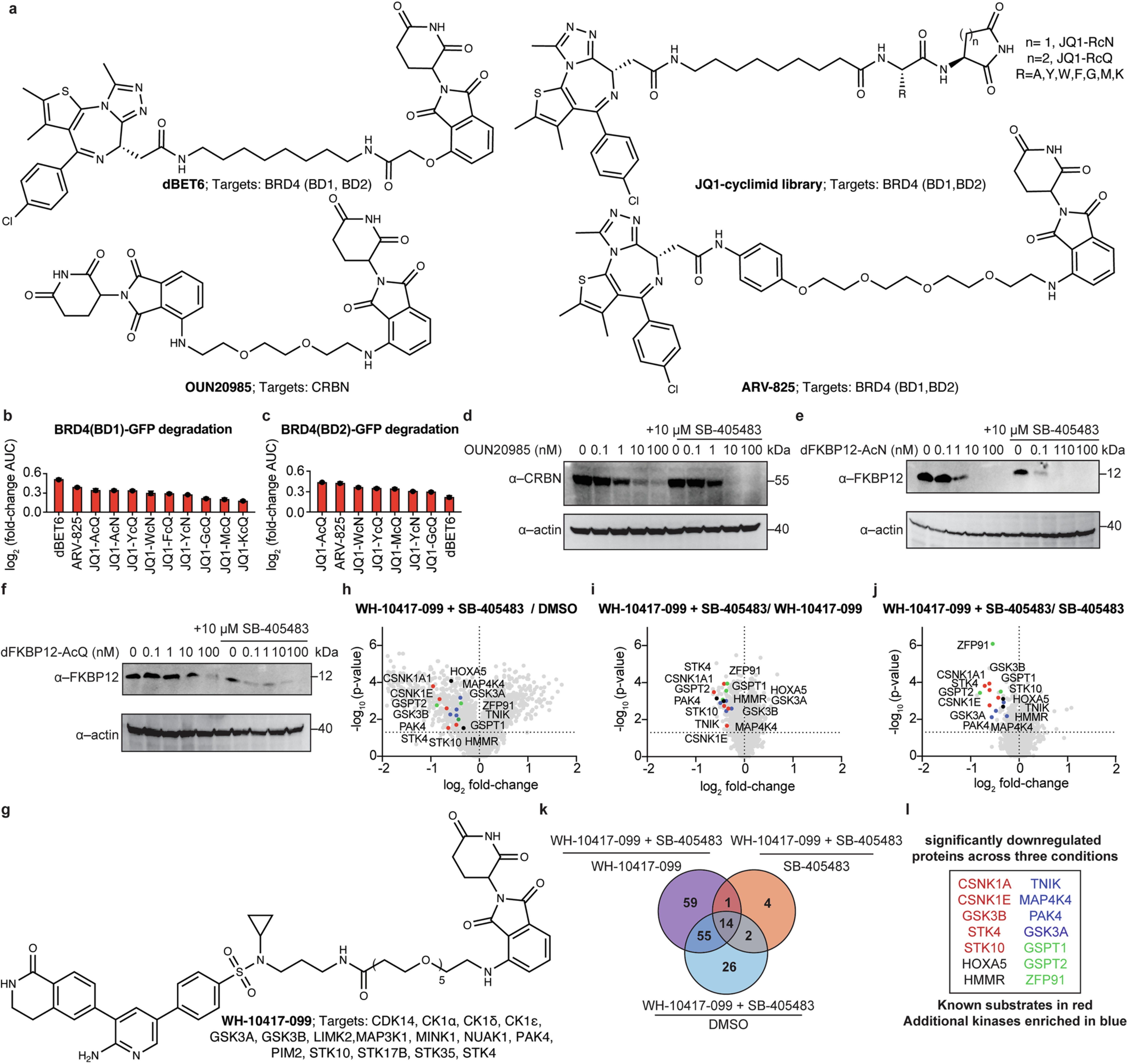 Extended Data Fig. 7: SB-405483 universally potentiates the degradation of PROTAC targets.