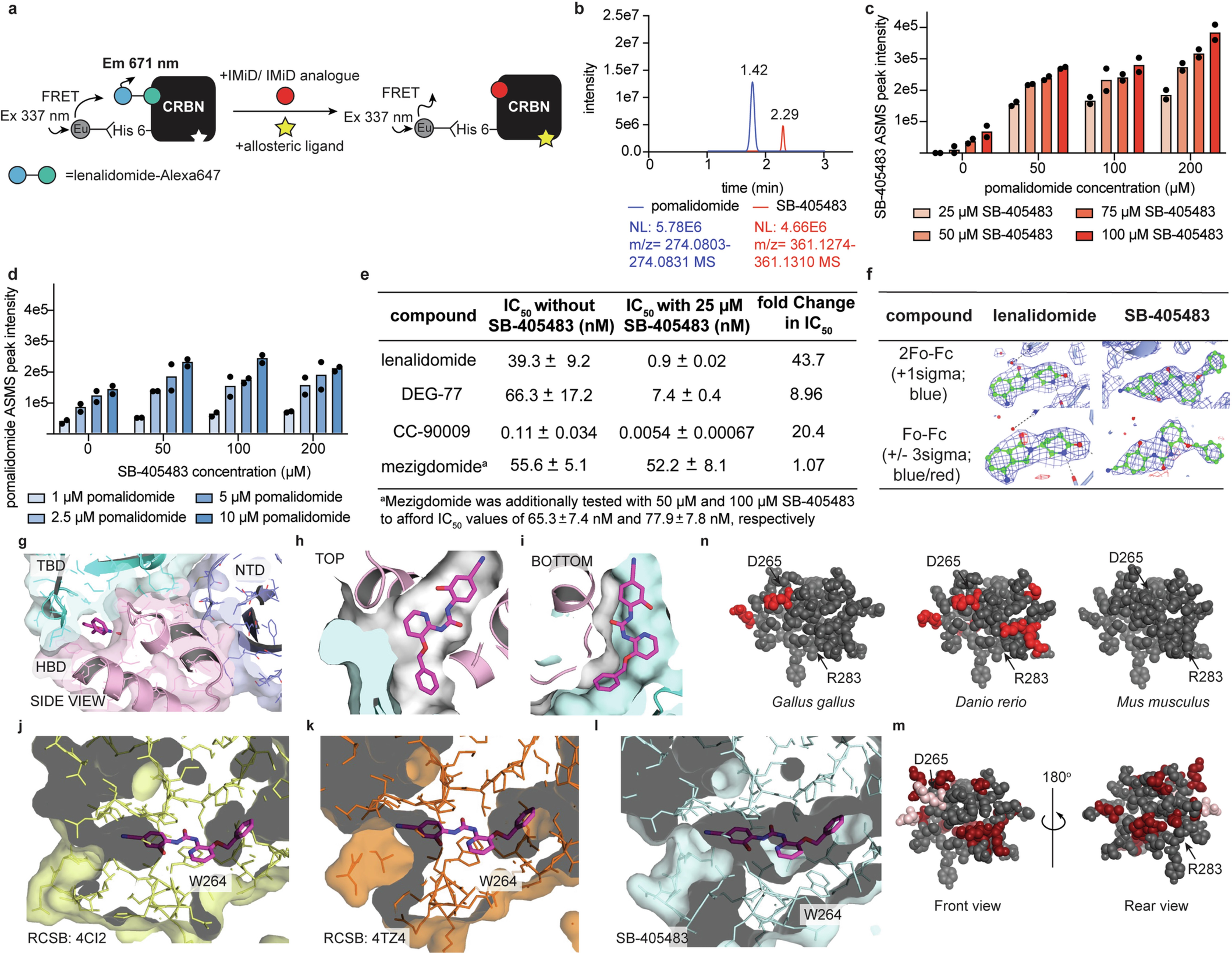 Extended Data Fig. 1: SB-405483 binds allosterically to CRBN in vitro.
