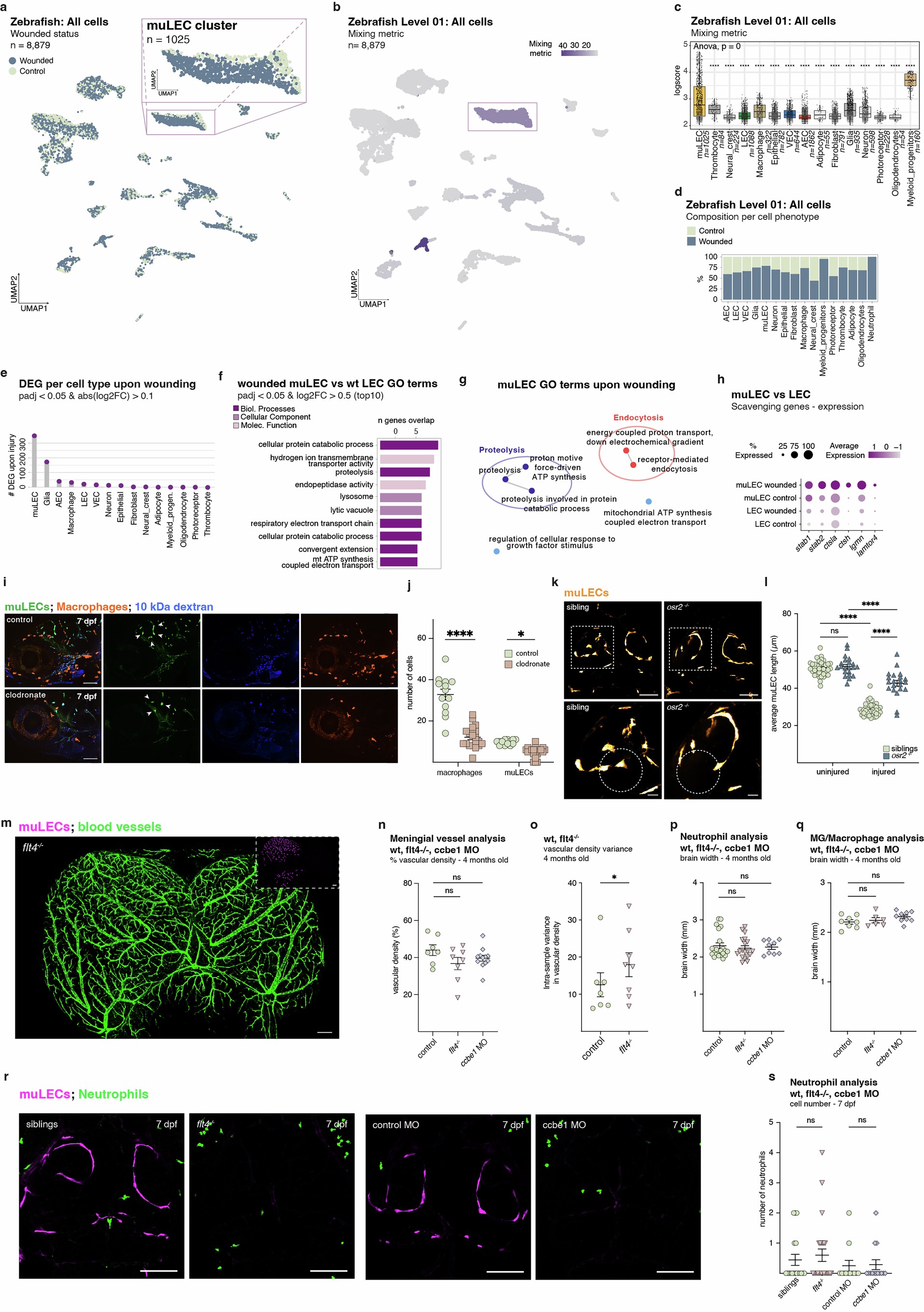 Extended Data Fig. 8: Additional data related to key findings in Fig. 3.