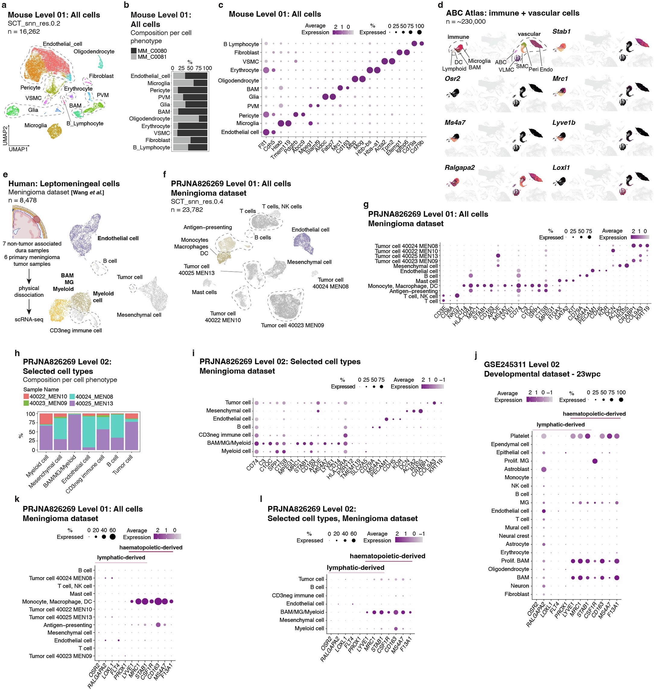 Extended Data Fig. 5: Additional data related to key findings in Fig. 3.