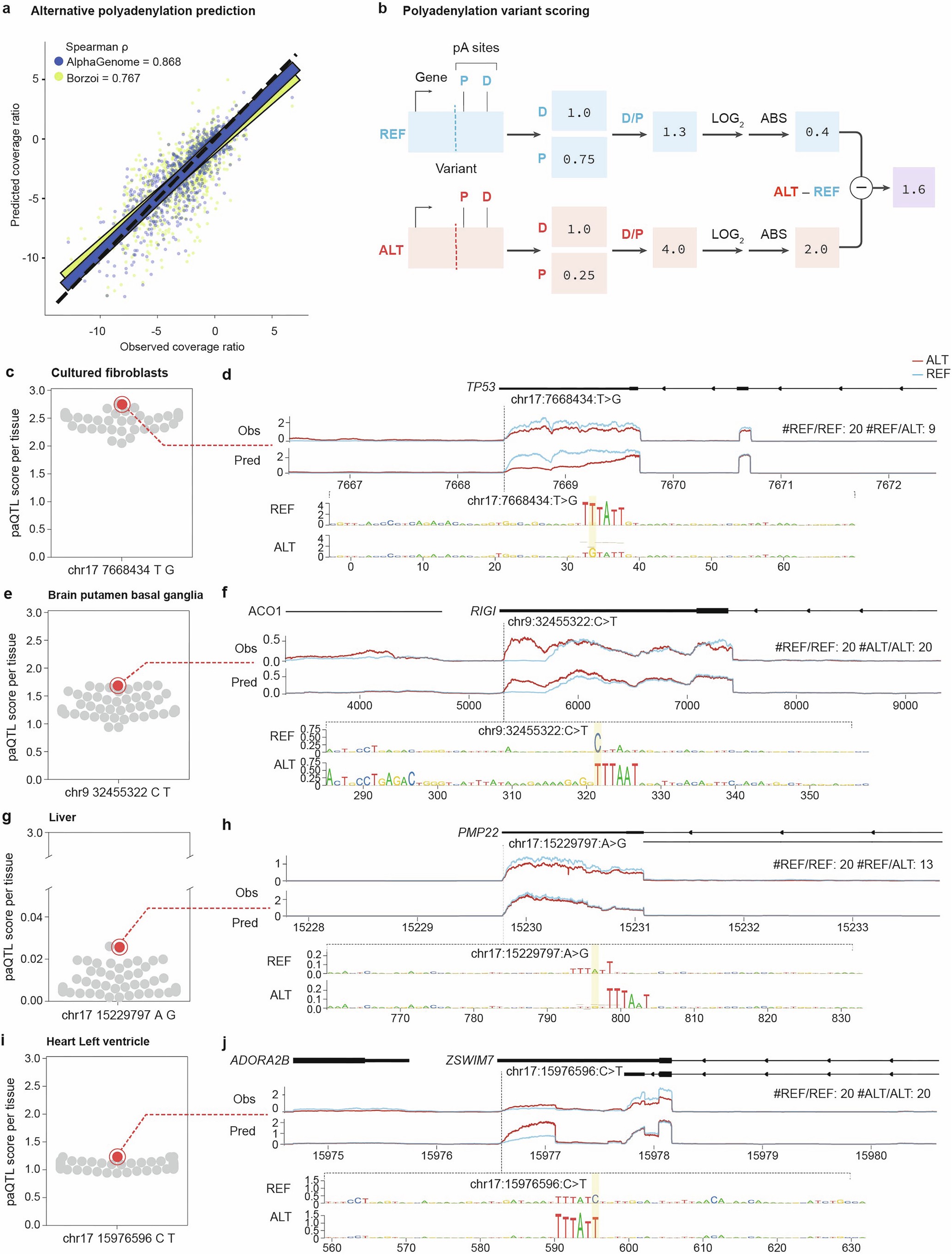 Extended Data Fig. 6