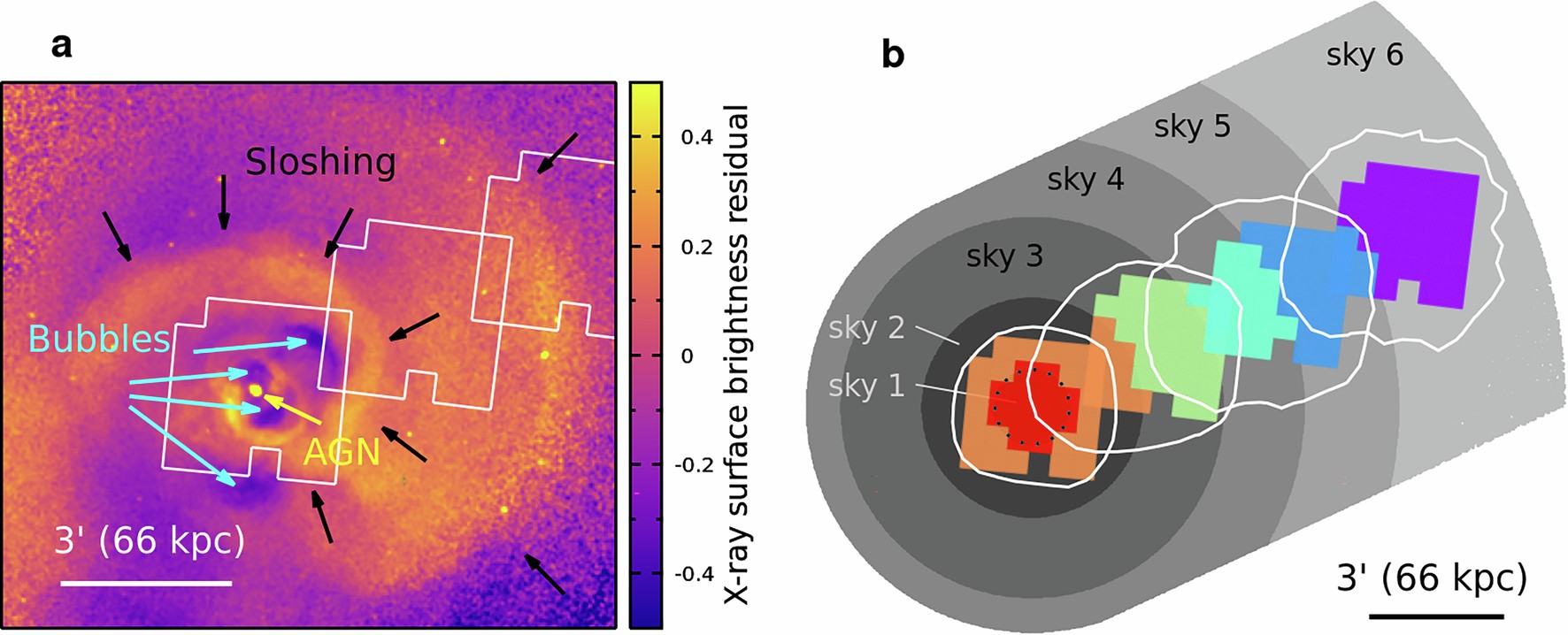 Extended Data Fig. 1