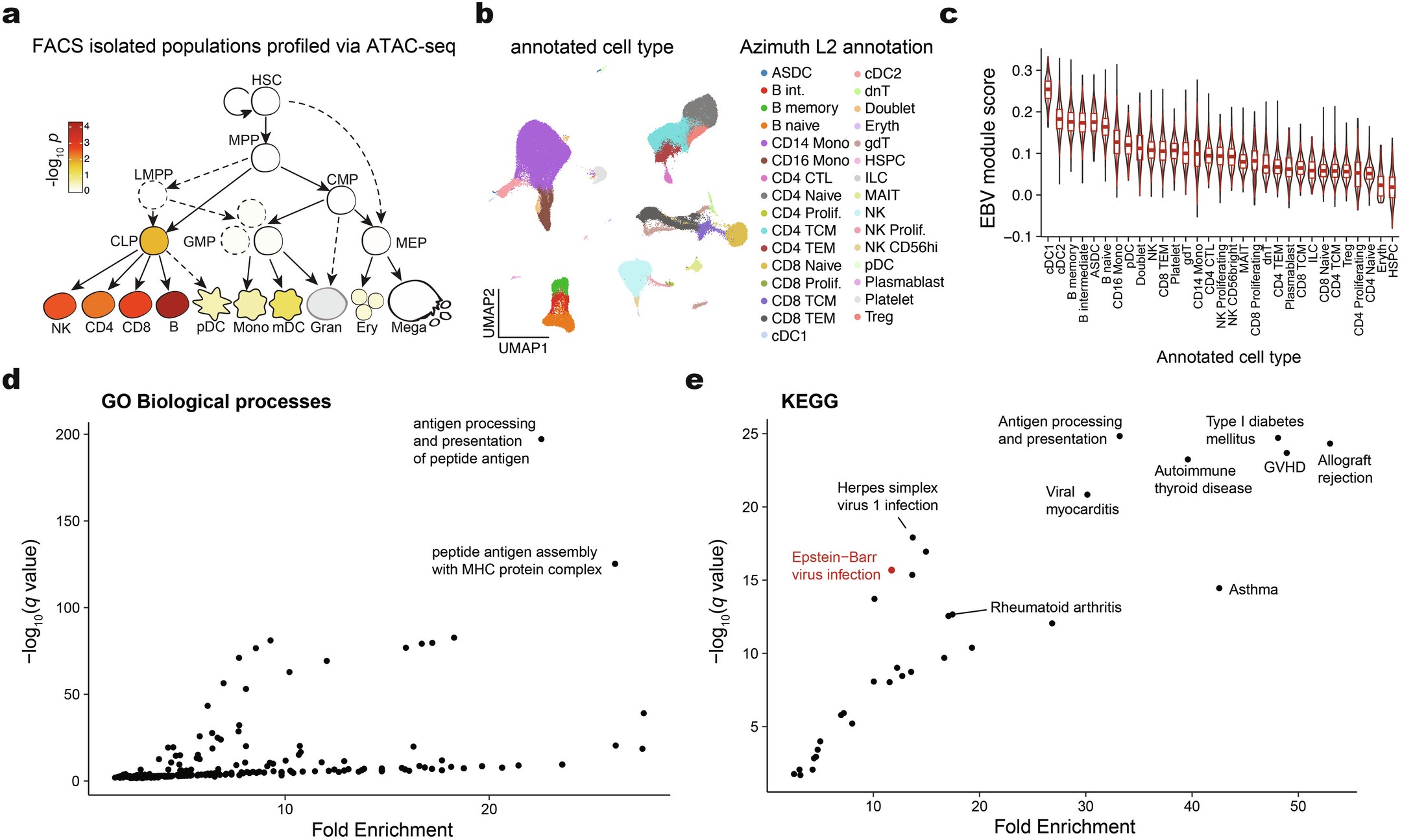 Extended Data Fig. 5