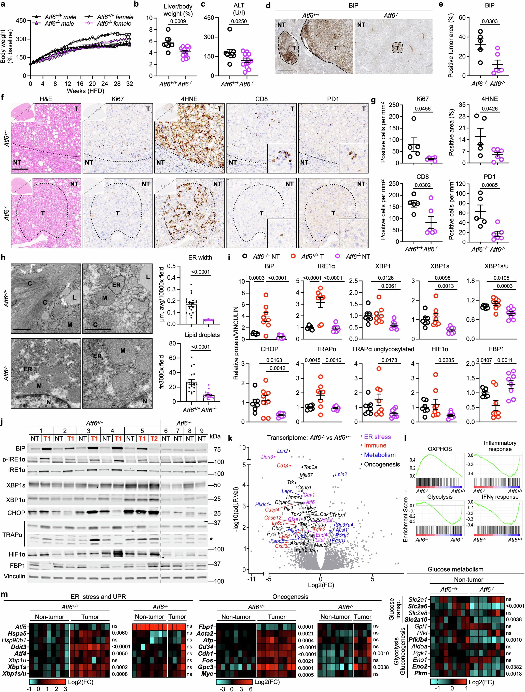 Extended Data Fig. 7