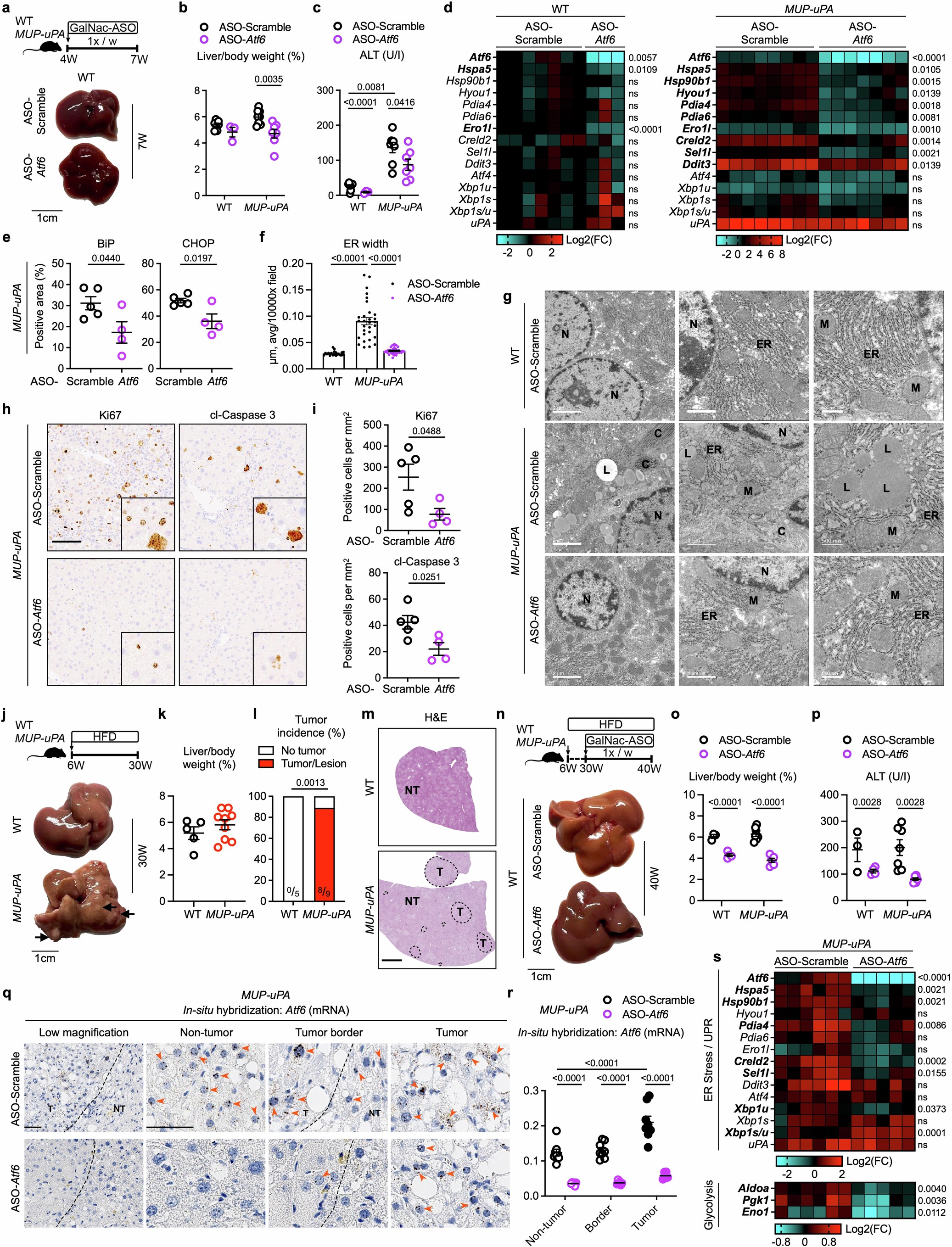 Extended Data Fig. 8