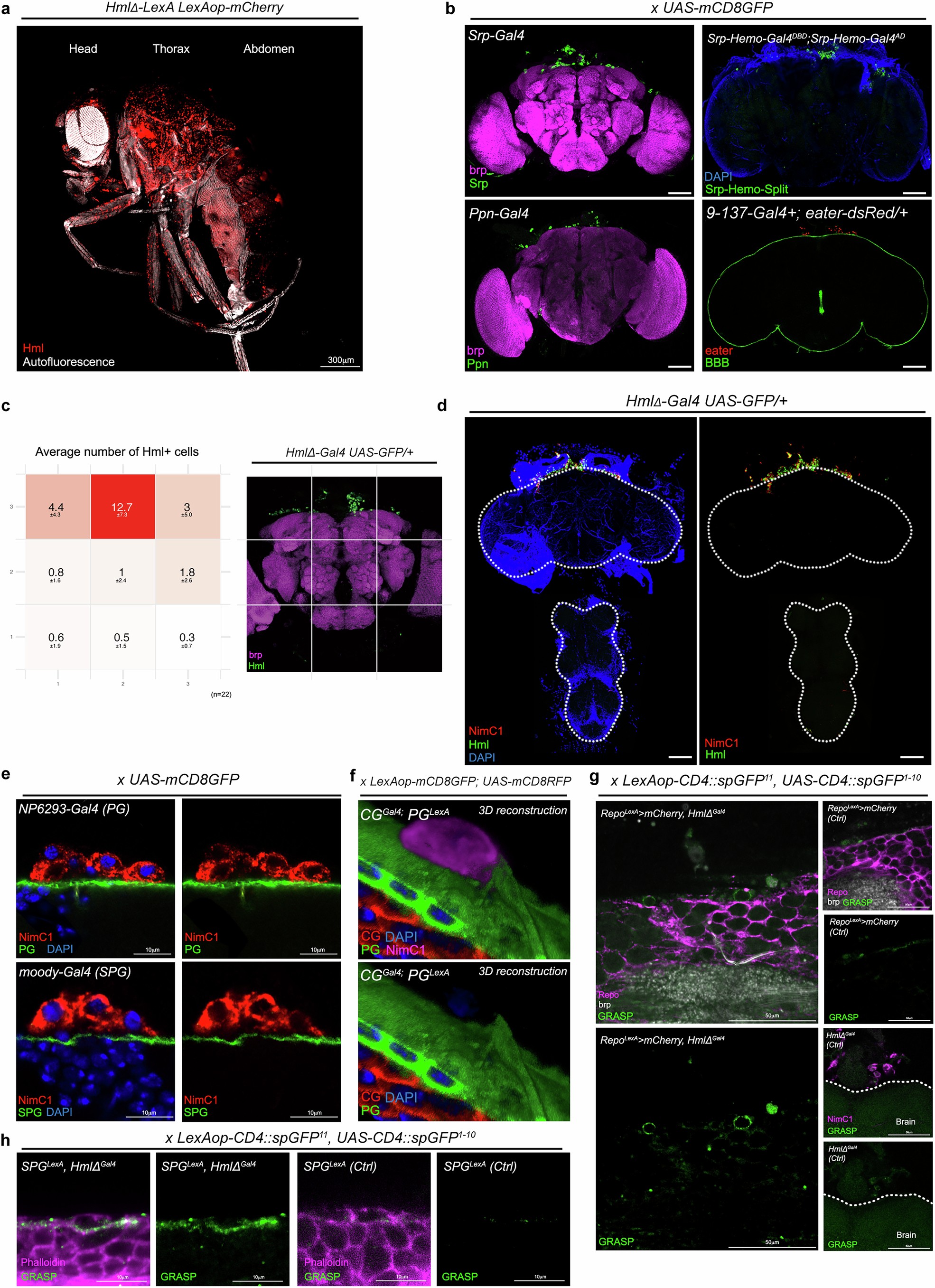 Extended Data Fig. 1