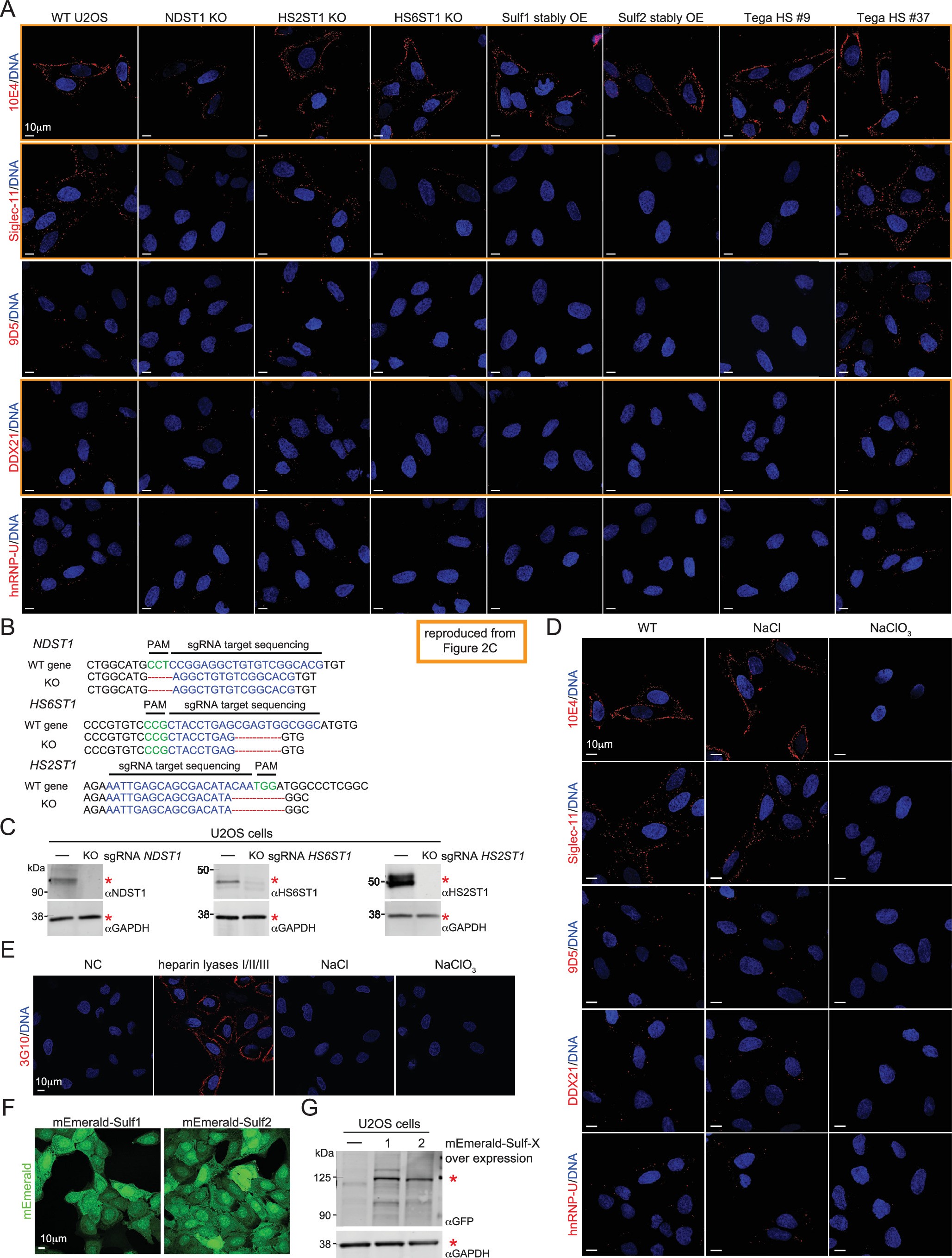 Extended Data Fig. 6