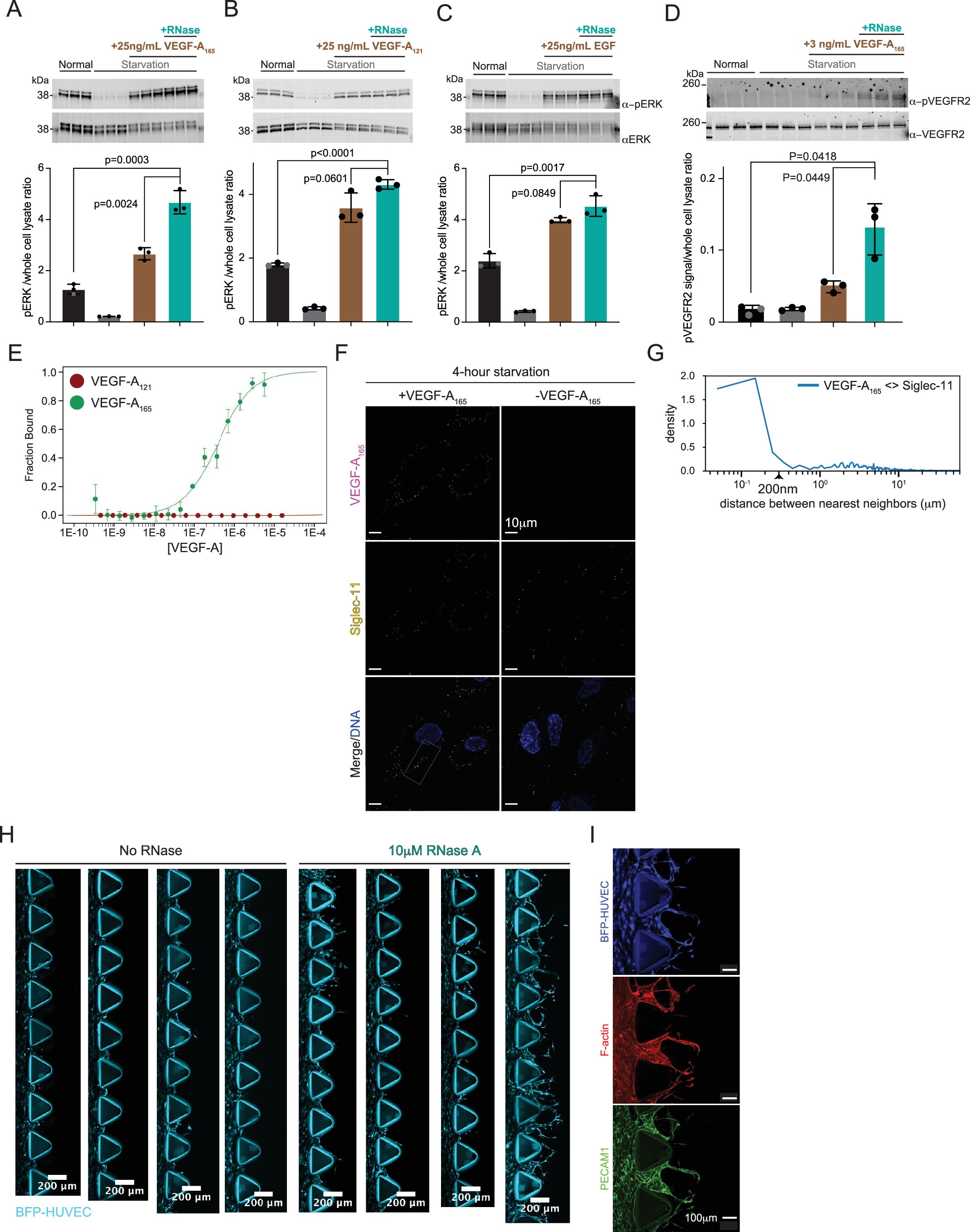 Extended Data Fig. 8