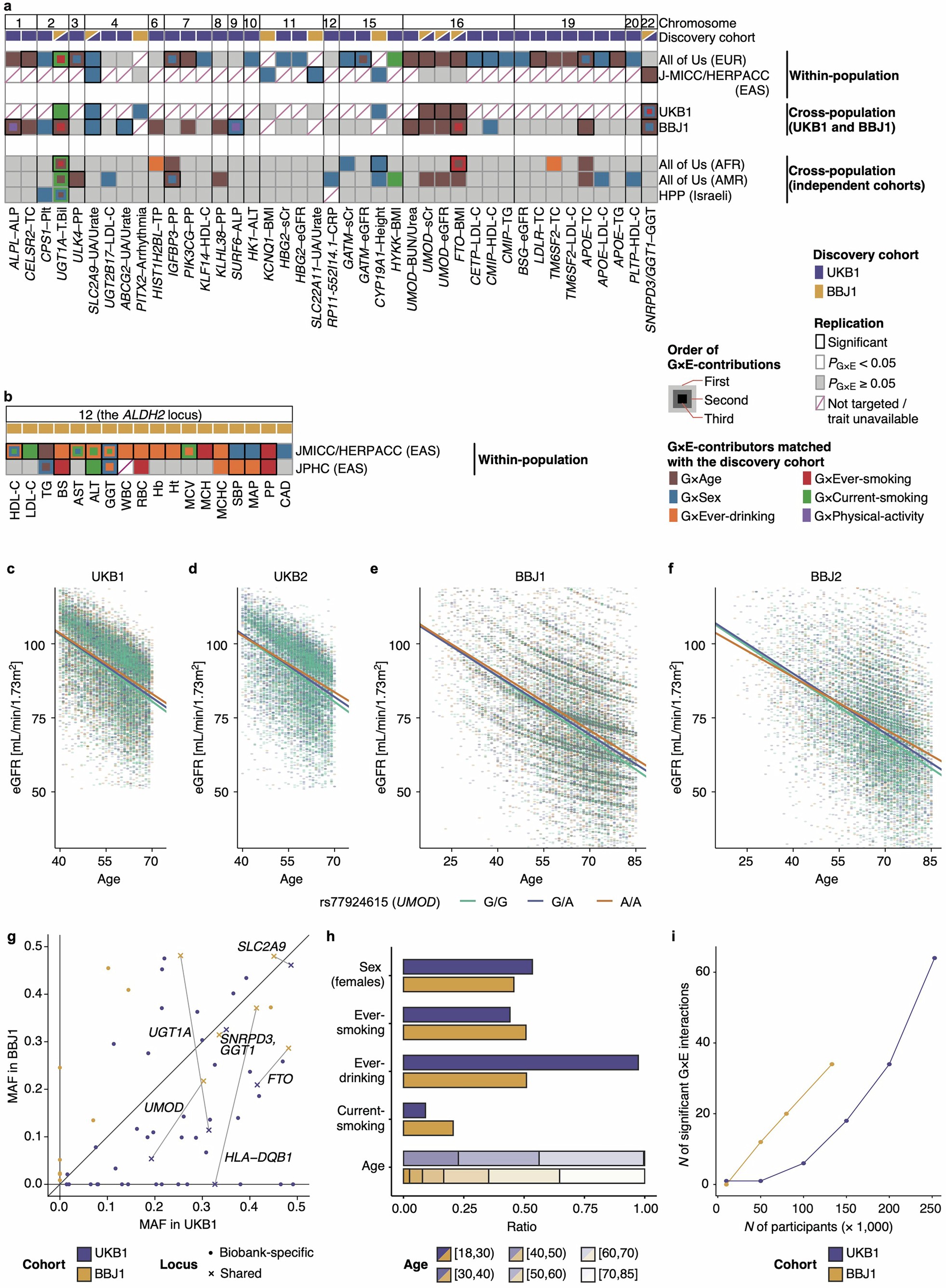 Extended Data Fig. 5: Replication within and across populations.