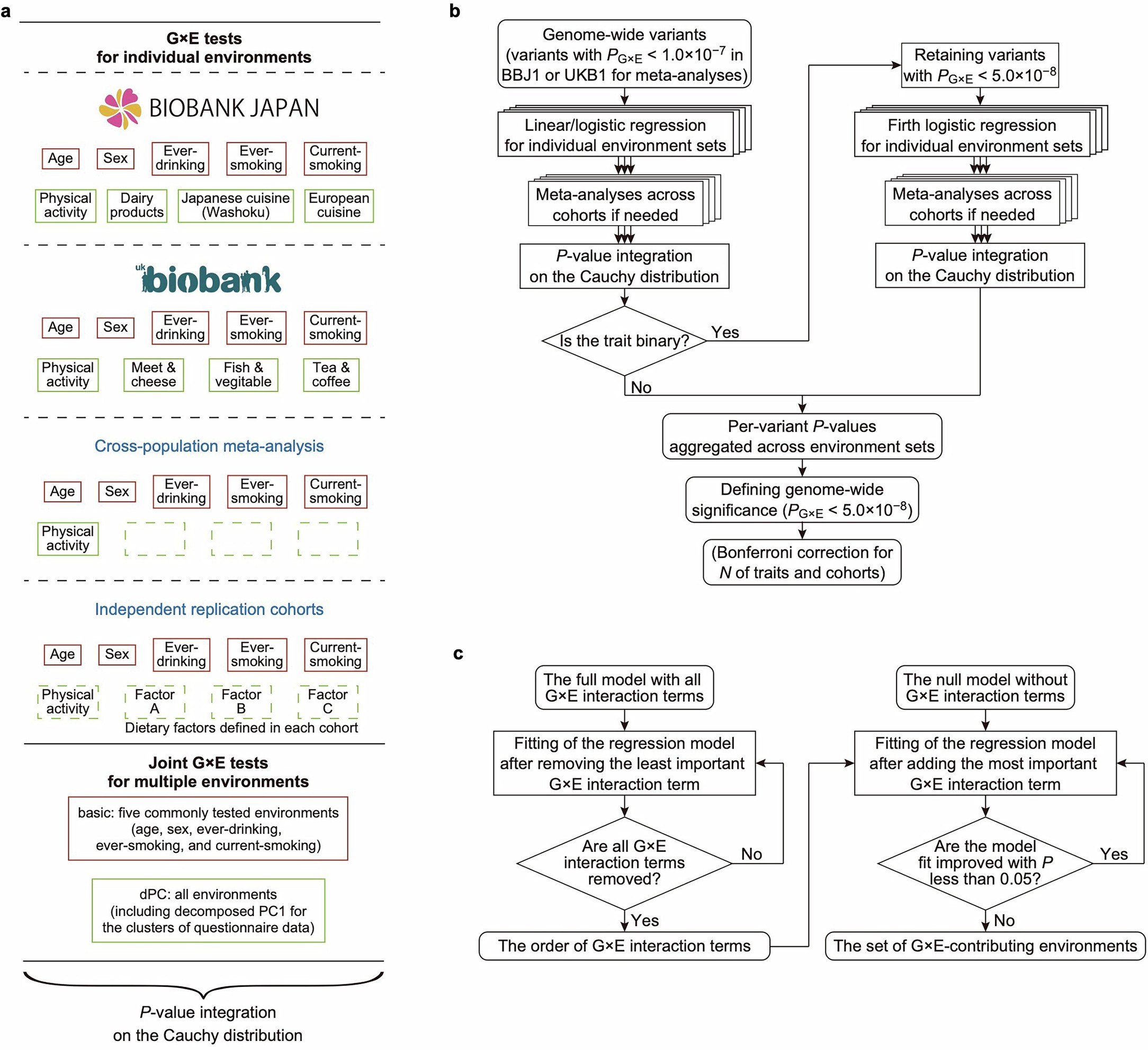 Extended Data Fig. 1: Schematic overview of the G×E interaction analysis workflow.