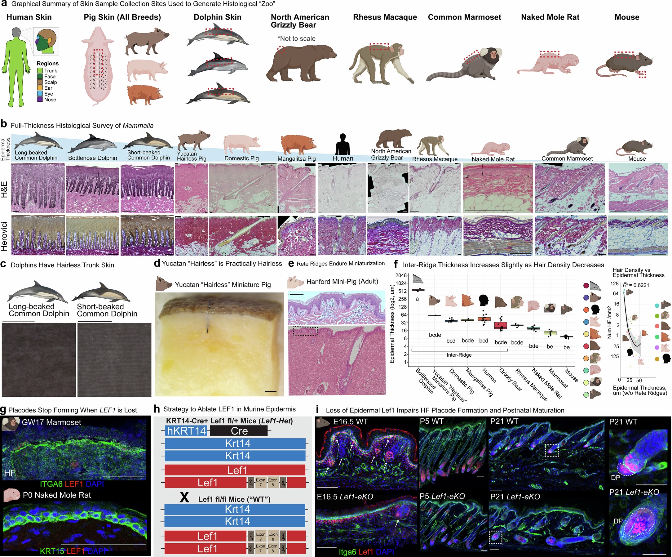 Extended Data Fig. 2