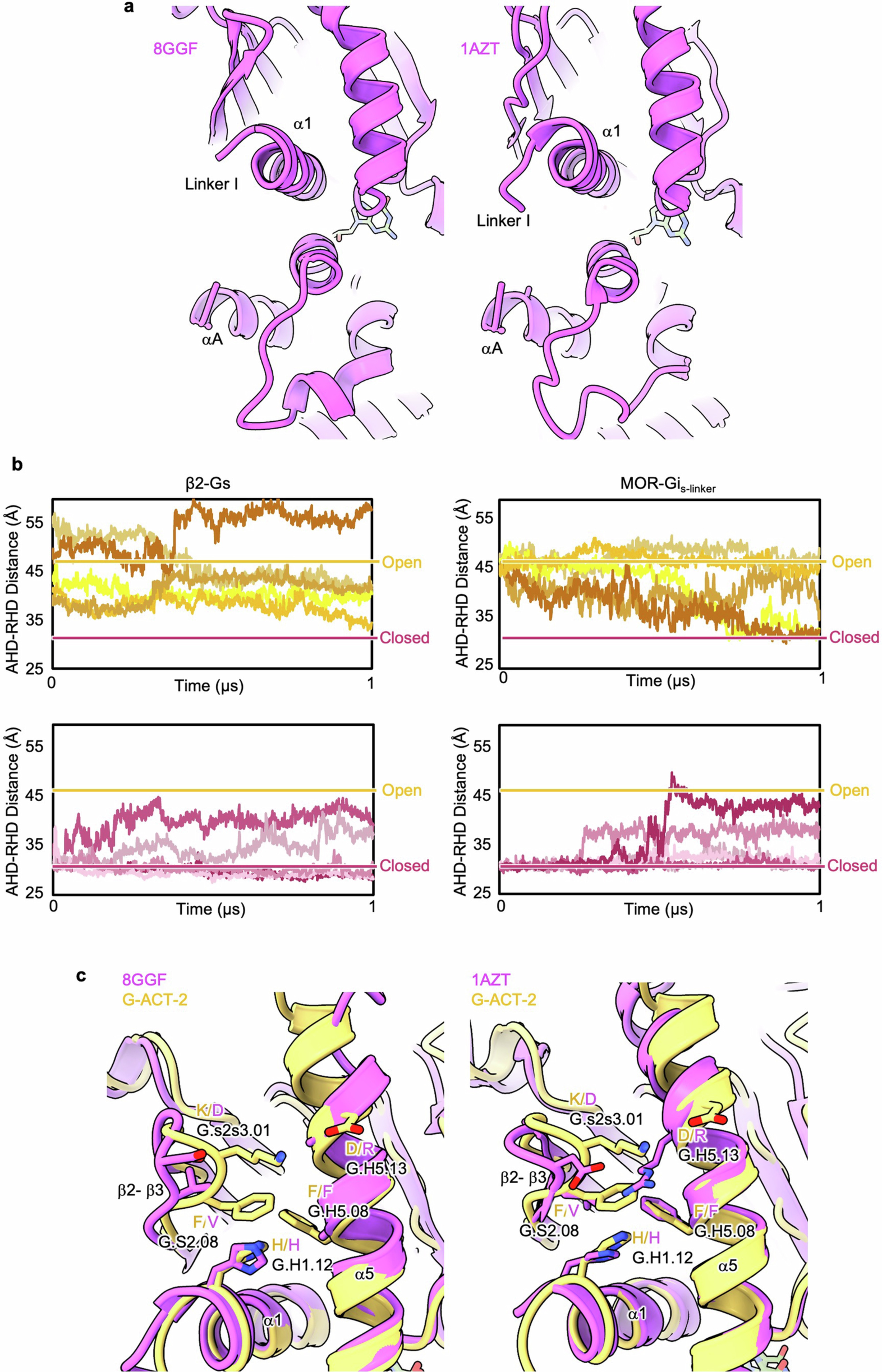 Extended Data Fig. 7: Structural differences between Gi and Gs.