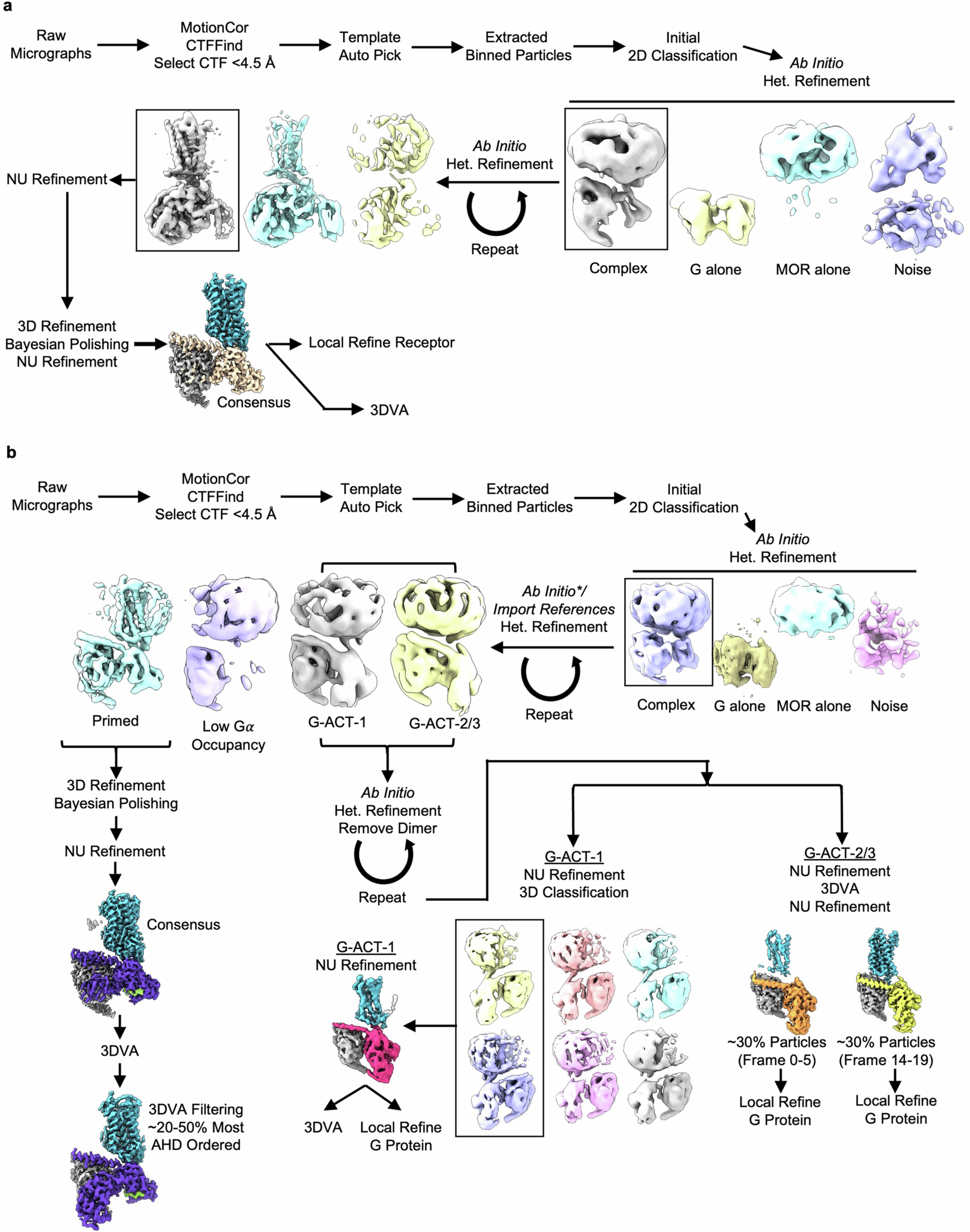Extended Data Fig. 1: Cryo-EM data processing workflow.