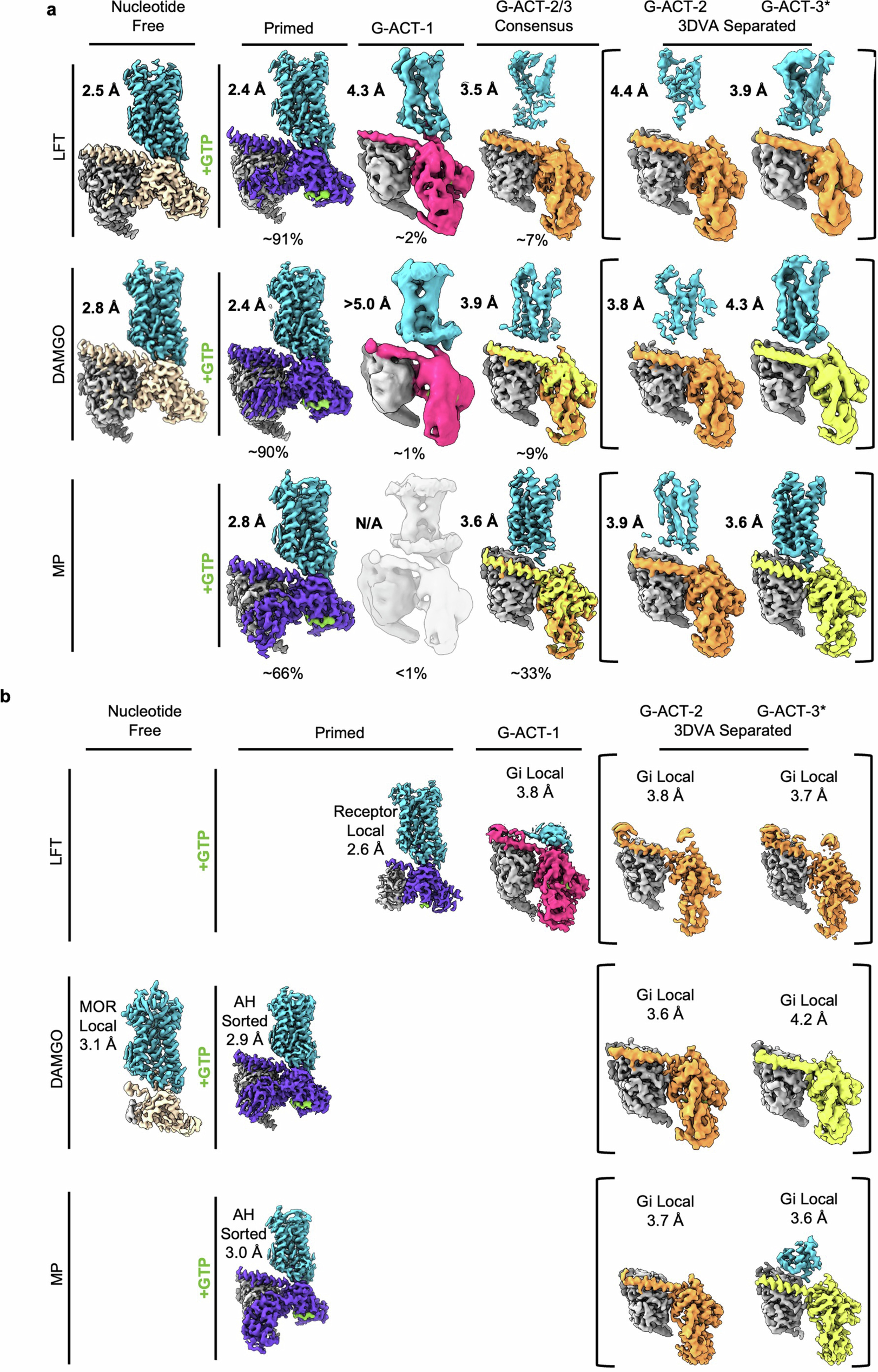 Extended Data Fig. 2: Cryo-EM maps of MOR–Gi bound to MP, DAMGO and LFT in the baseline, GTP-primed, G-ACT-1, G-ACT-2 and G-ACT-3 states.