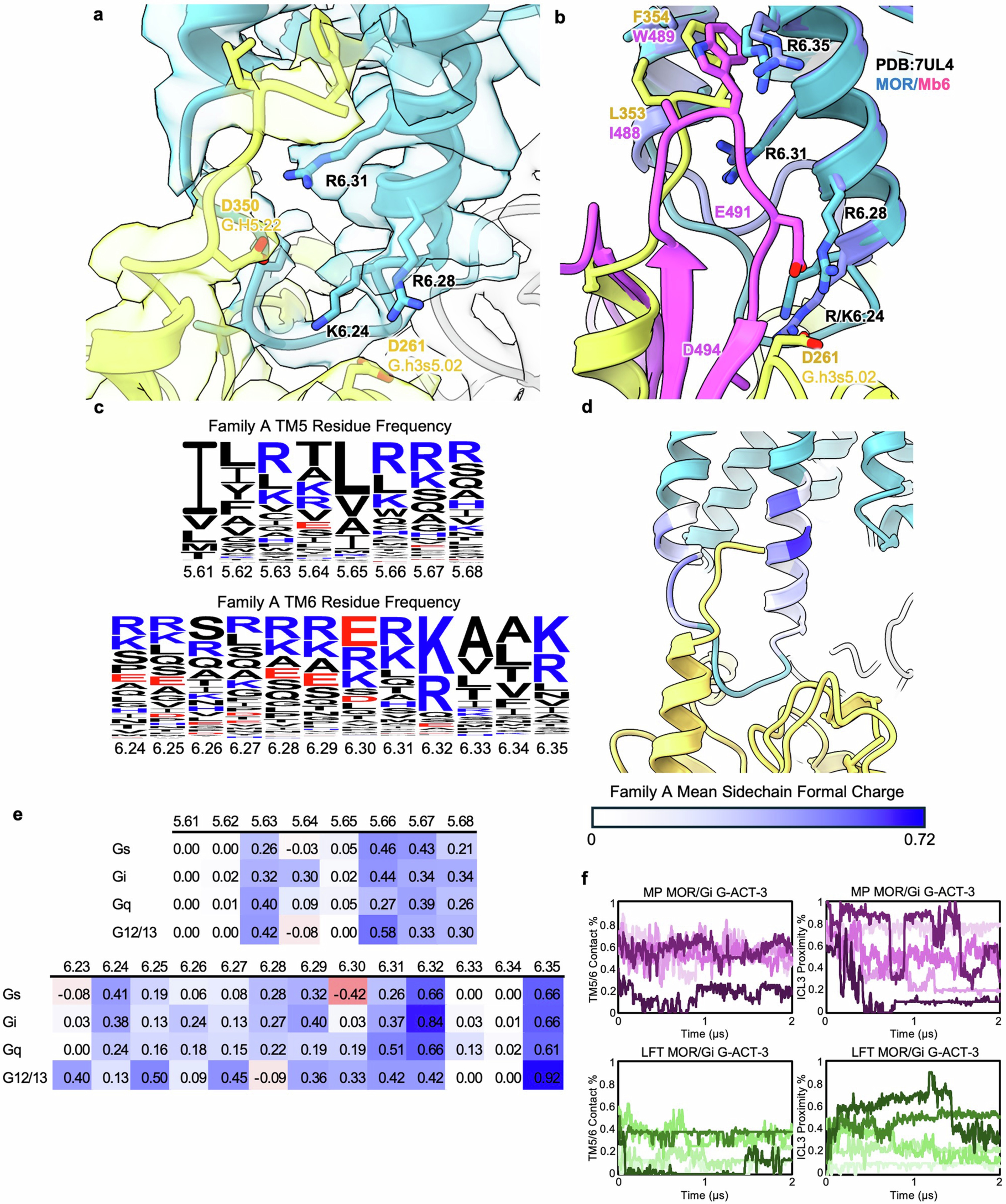 Extended Data Fig. 4: Interactions between Gα and MOR TM5–TM6 in the G-ACT-3 state.