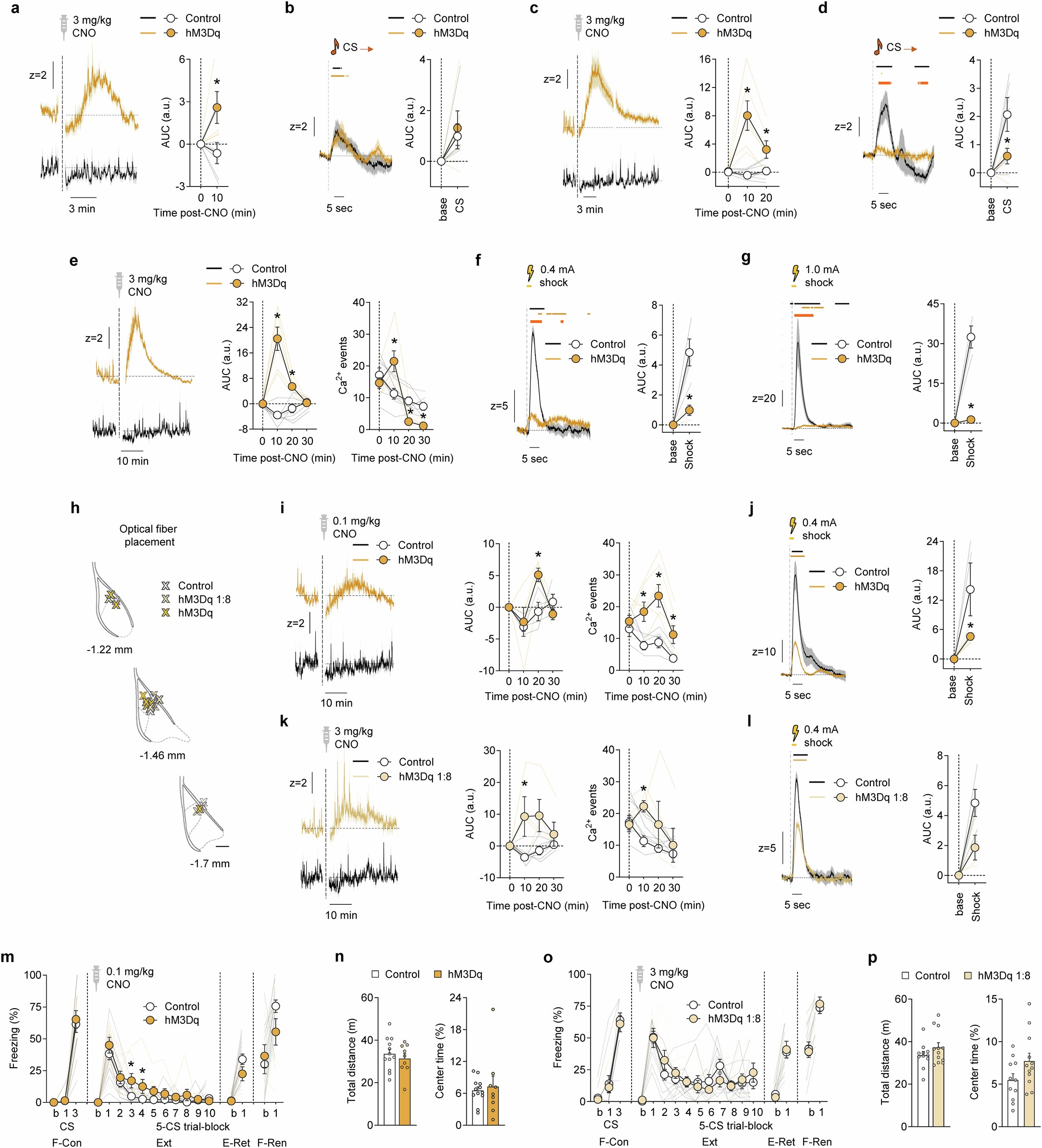 Extended Data Fig. 6: Chemogenetic manipulation of astrocyte Ca2+ via hM3Dq-actuation.