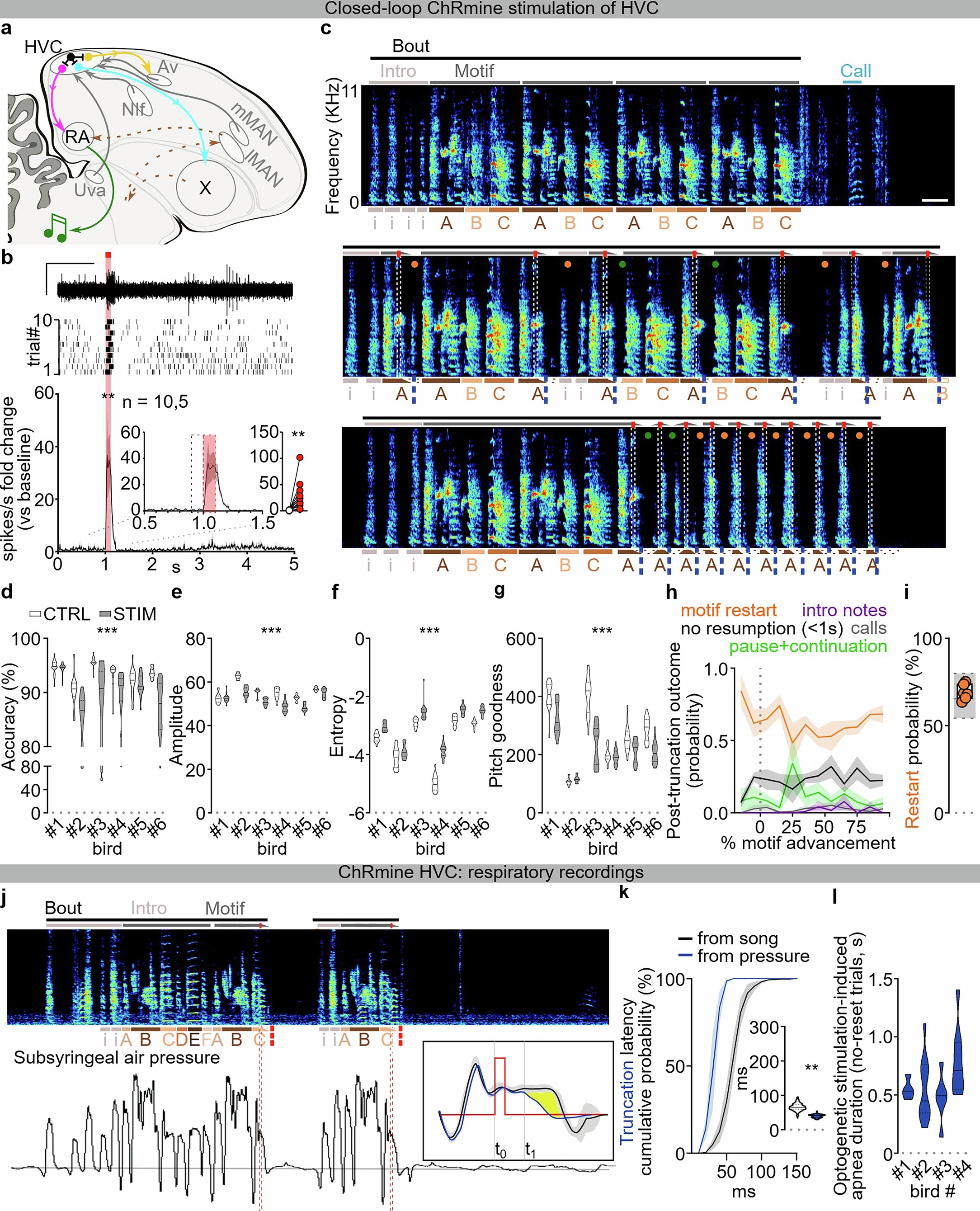 Extended Data Fig. 1: Effects of optogenetic stimulation of HVC neurons in singing zebra finches.