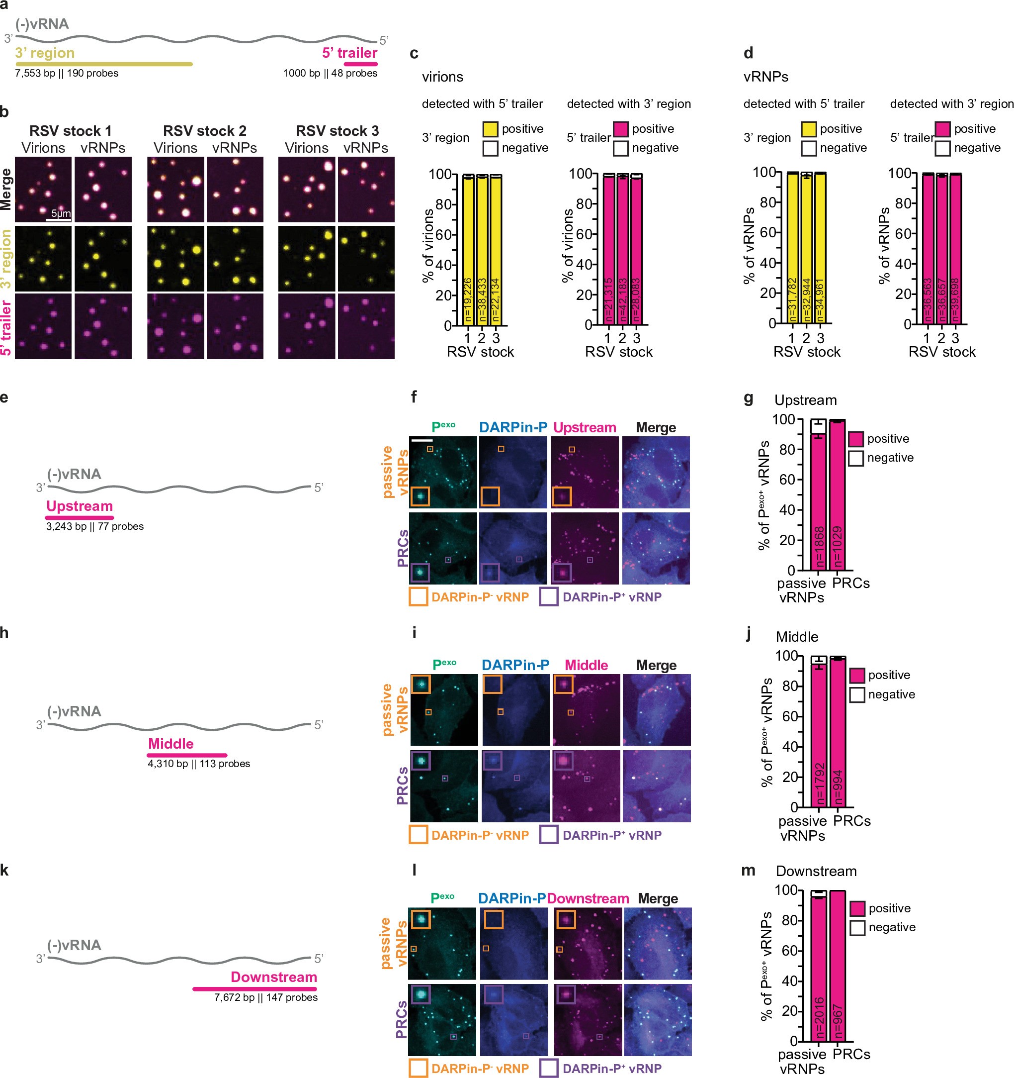 Extended Data Fig. 6