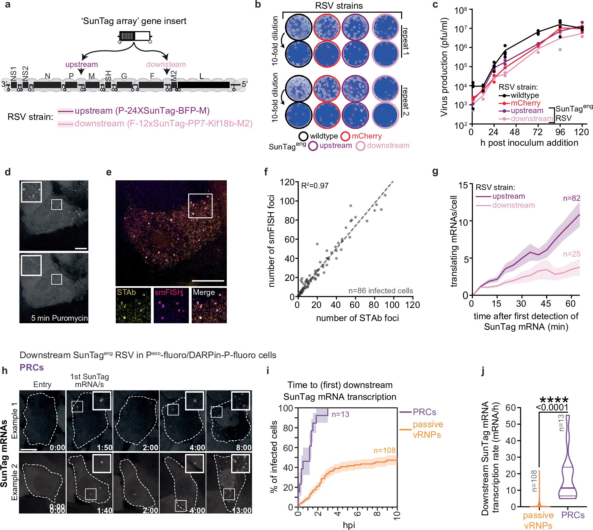 Extended Data Fig. 7