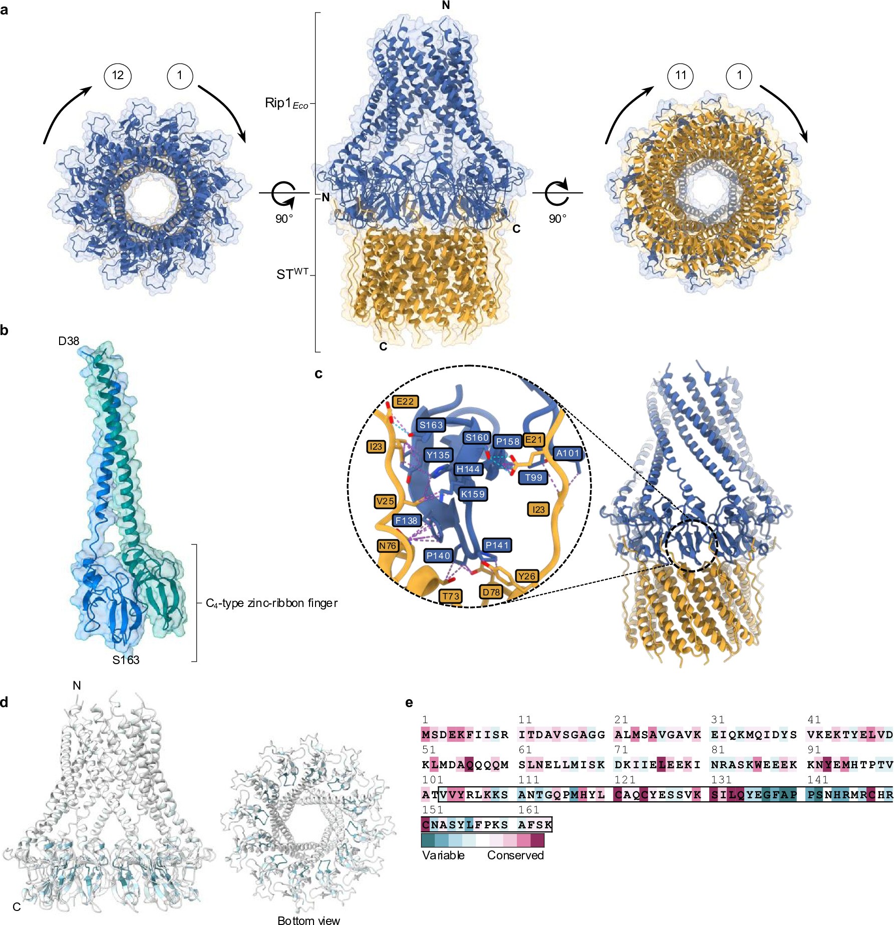 Extended Data Fig. 6