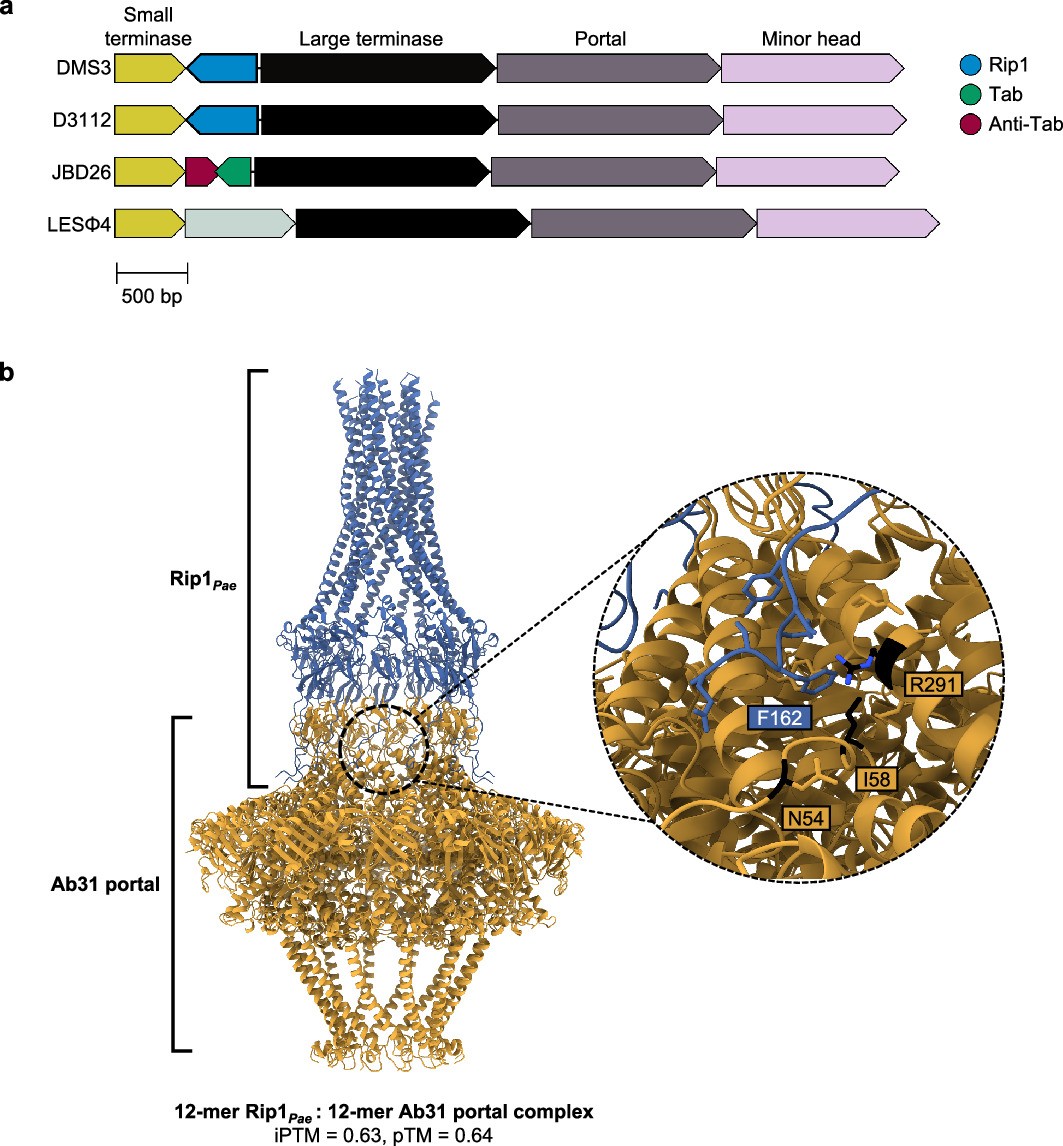 Extended Data Fig. 1