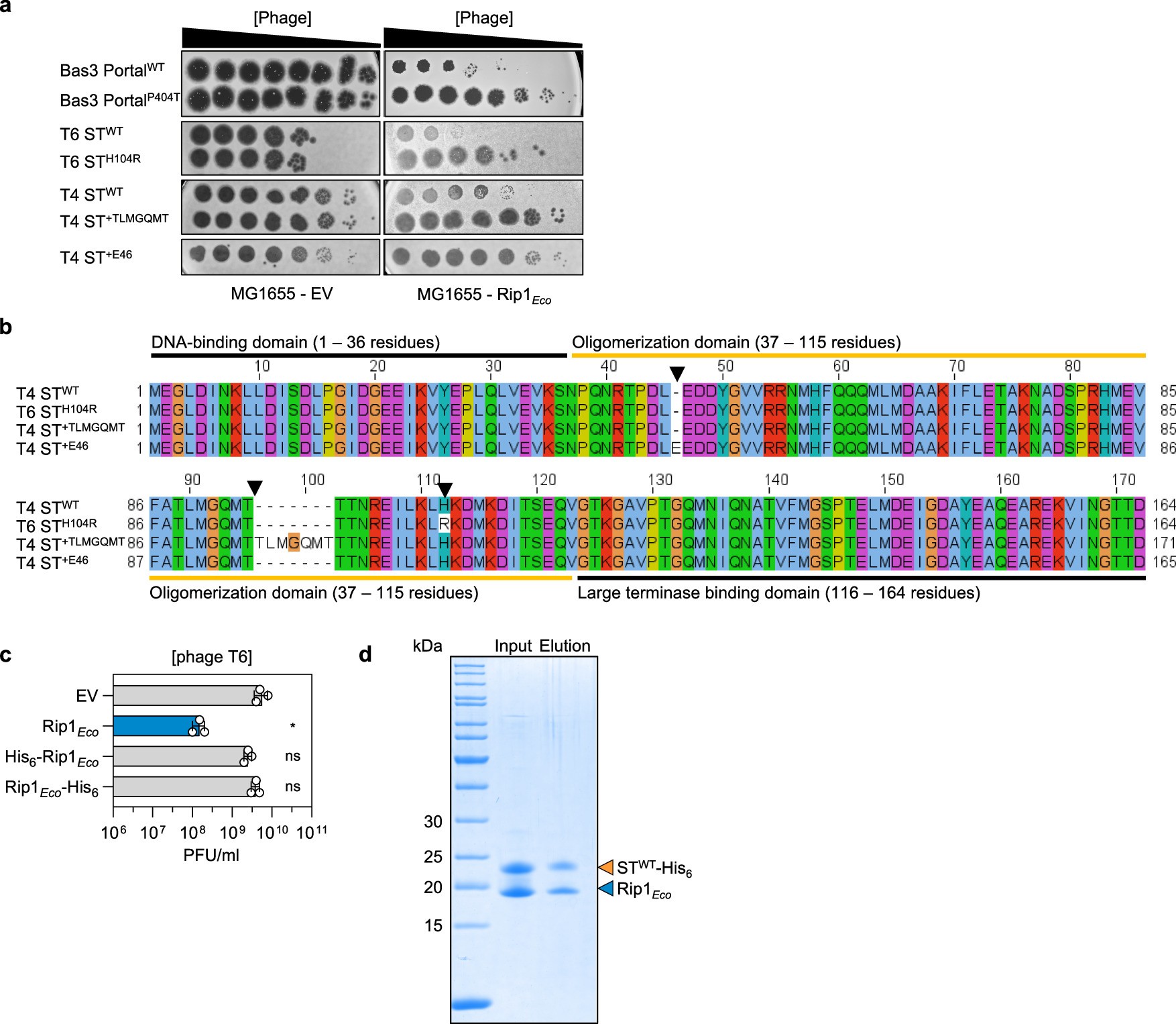Extended Data Fig. 3
