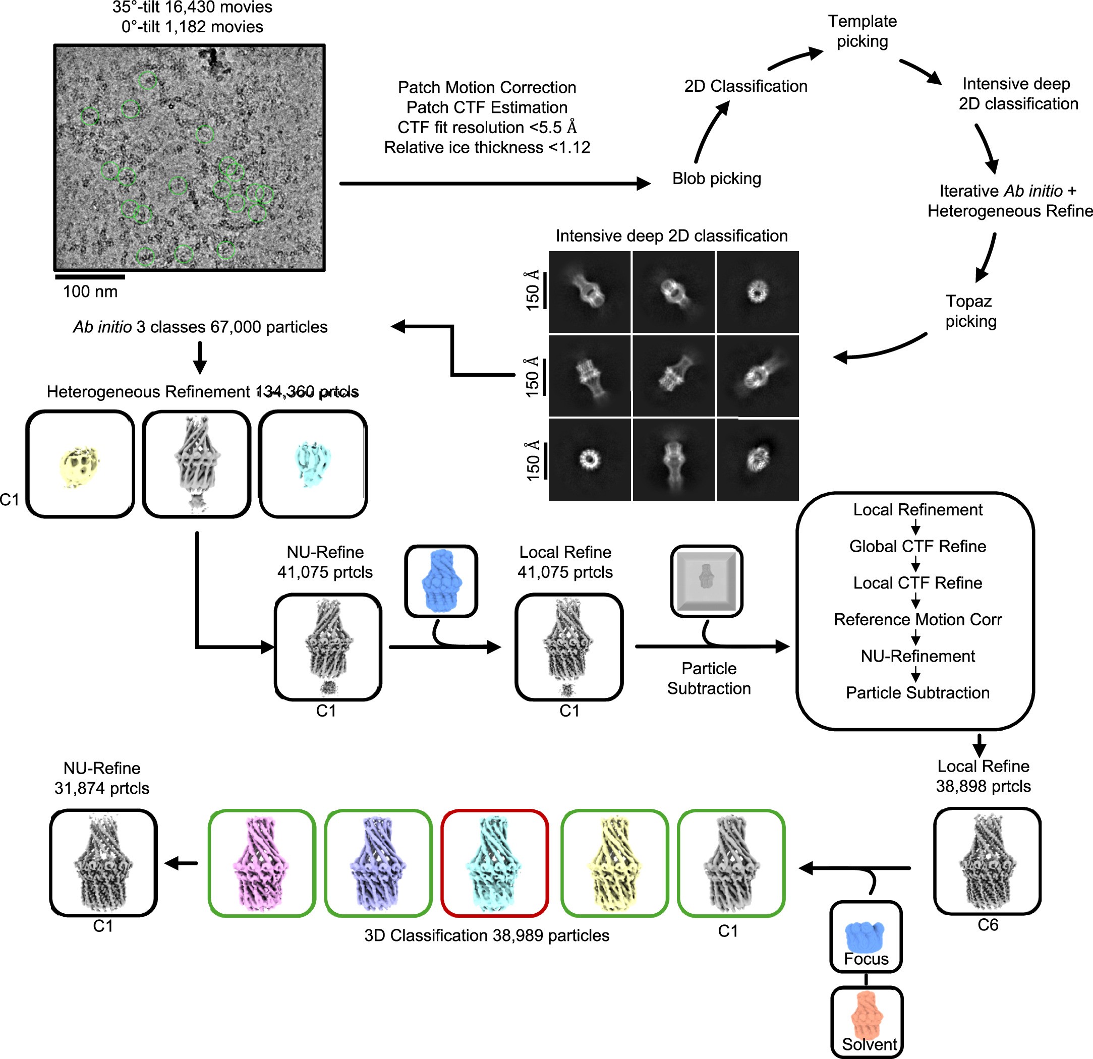 Extended Data Fig. 4