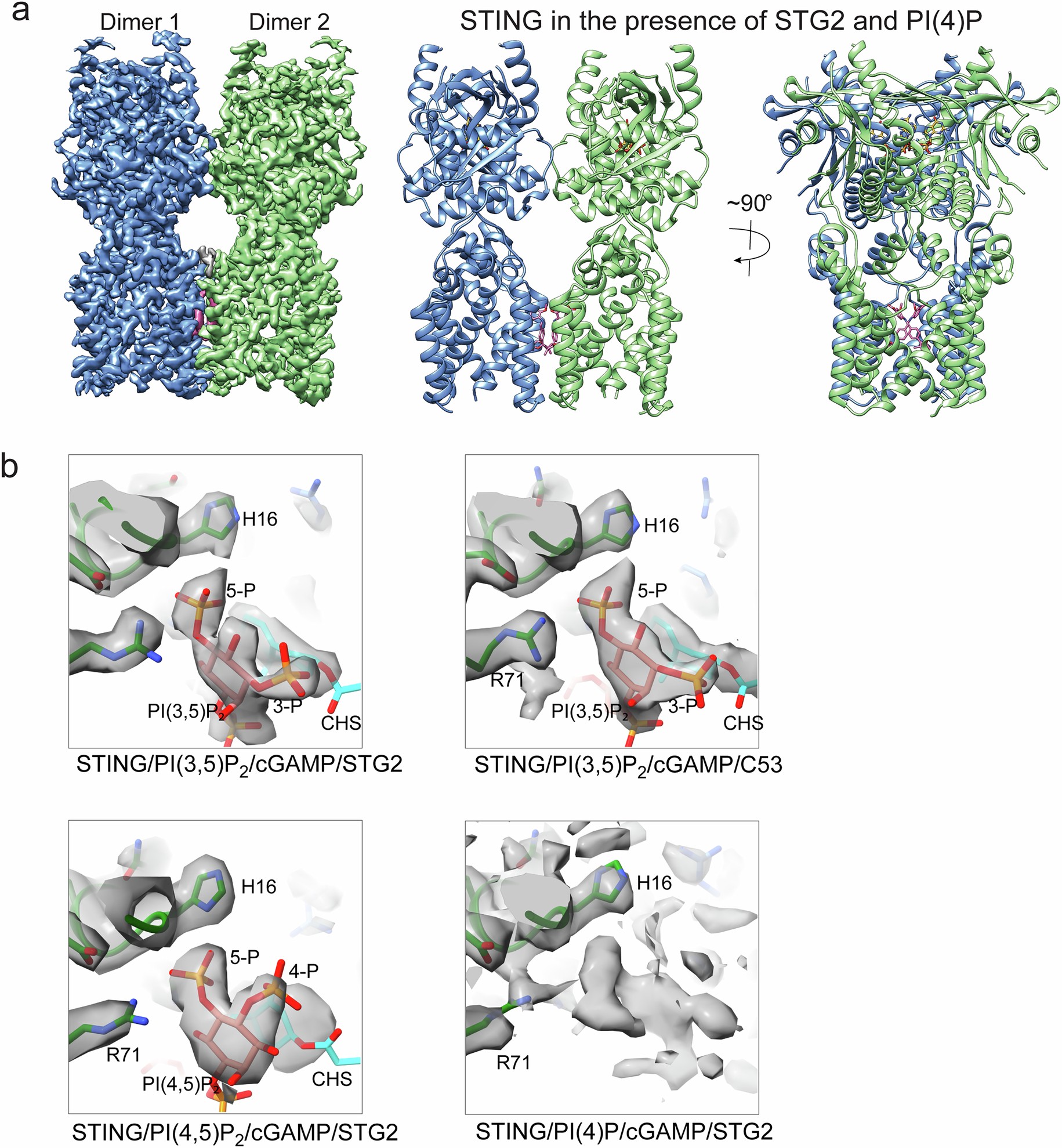 Extended Data Fig. 5