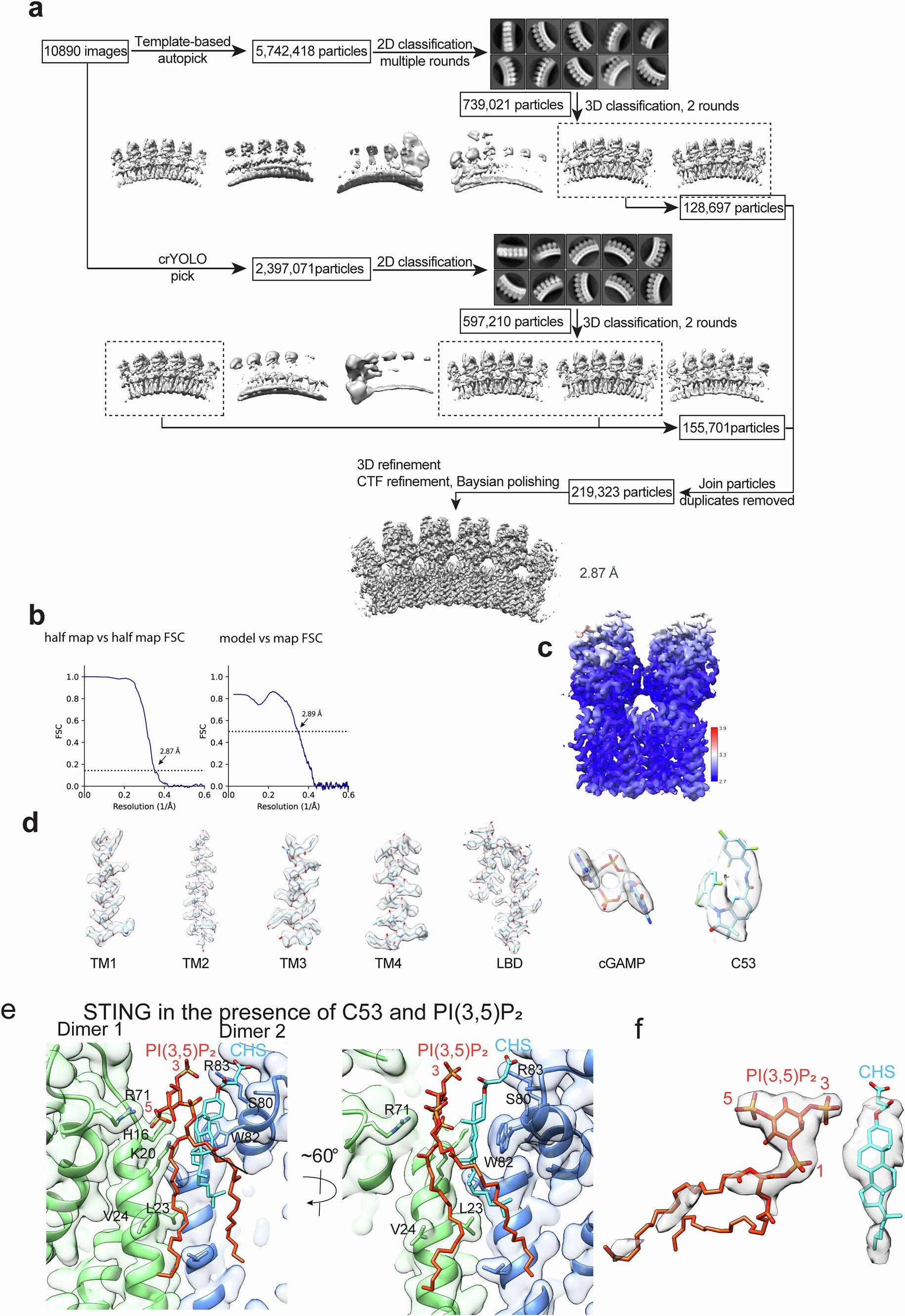 Extended Data Fig. 6