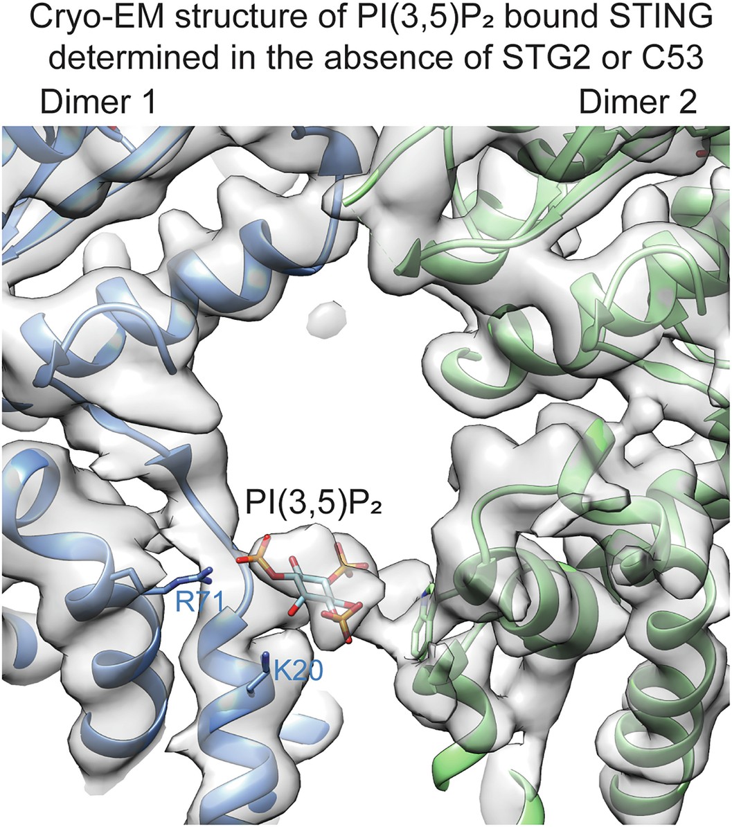 Extended Data Fig. 7