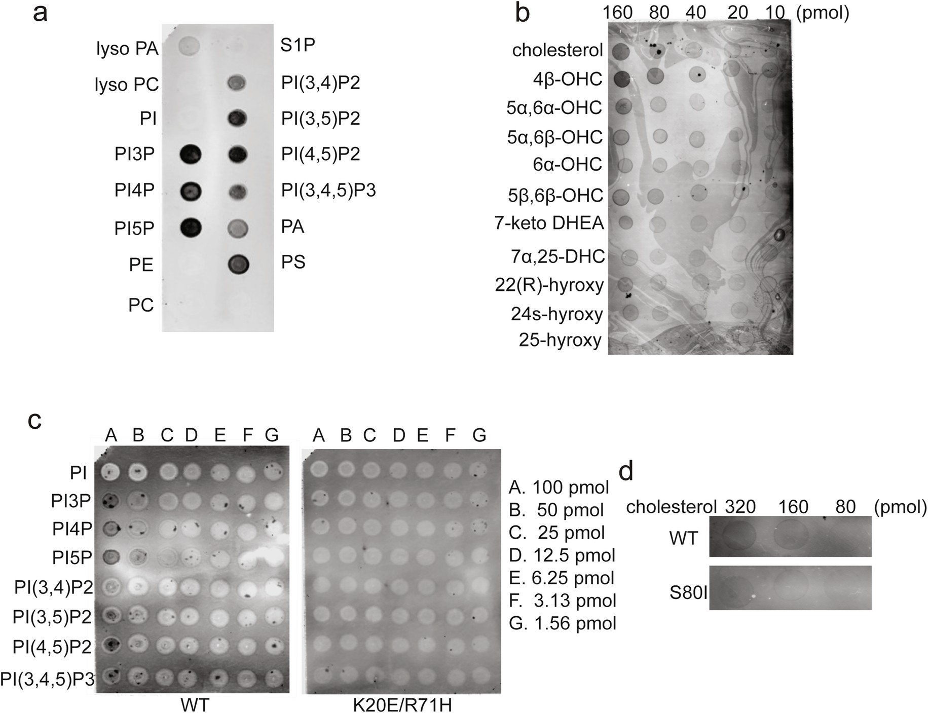 Extended Data Fig. 8