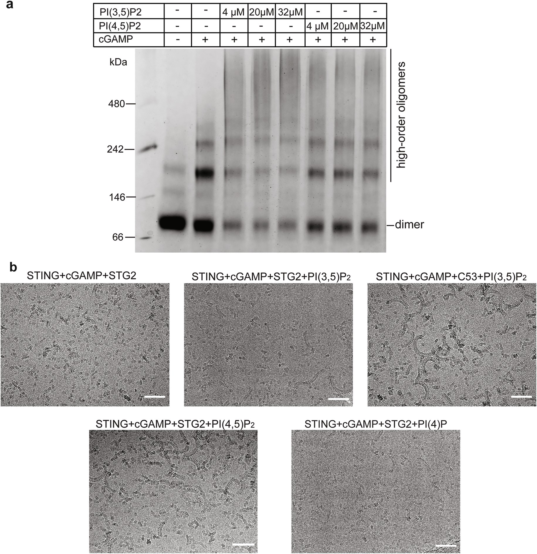 Extended Data Fig. 1