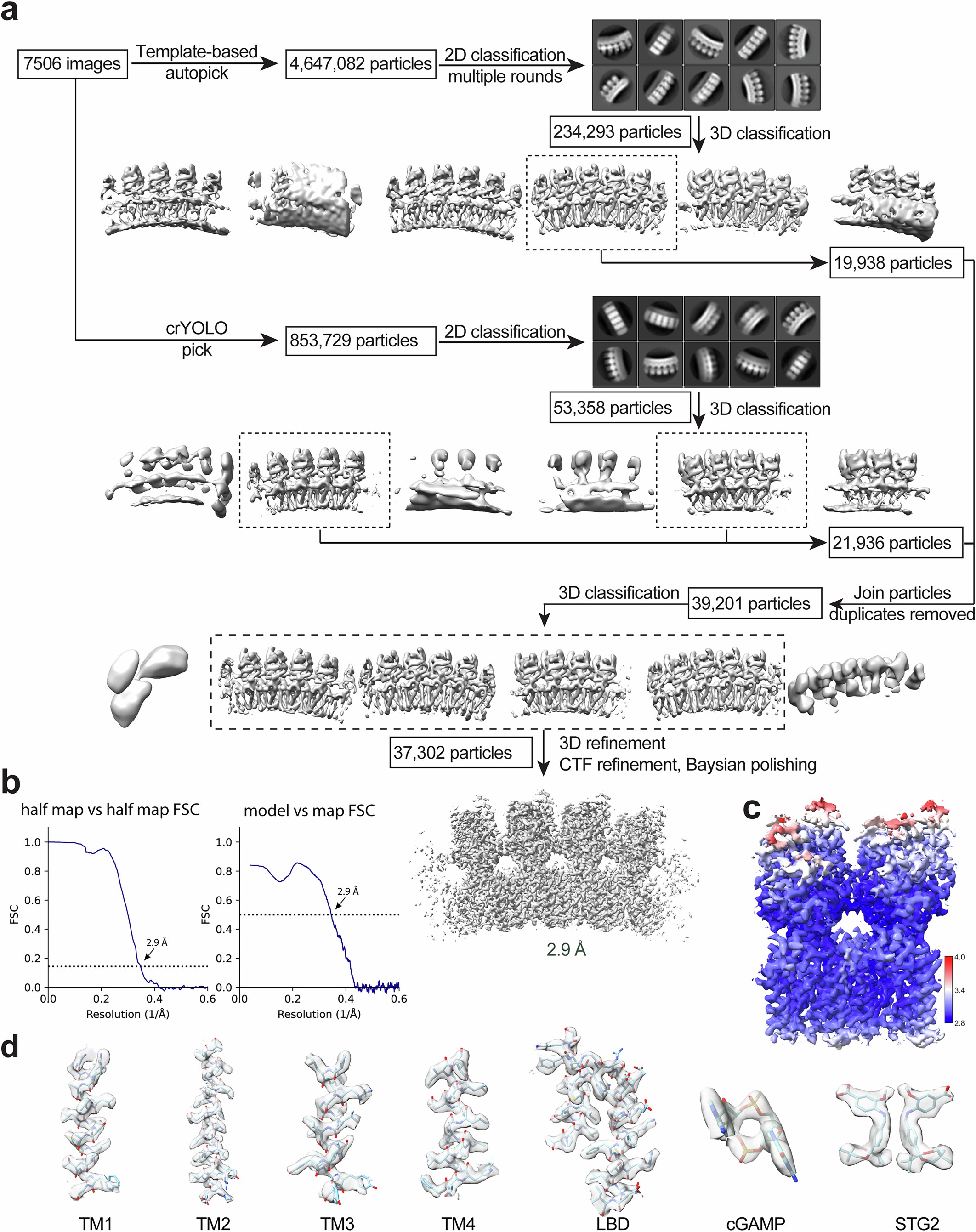 Extended Data Fig. 2