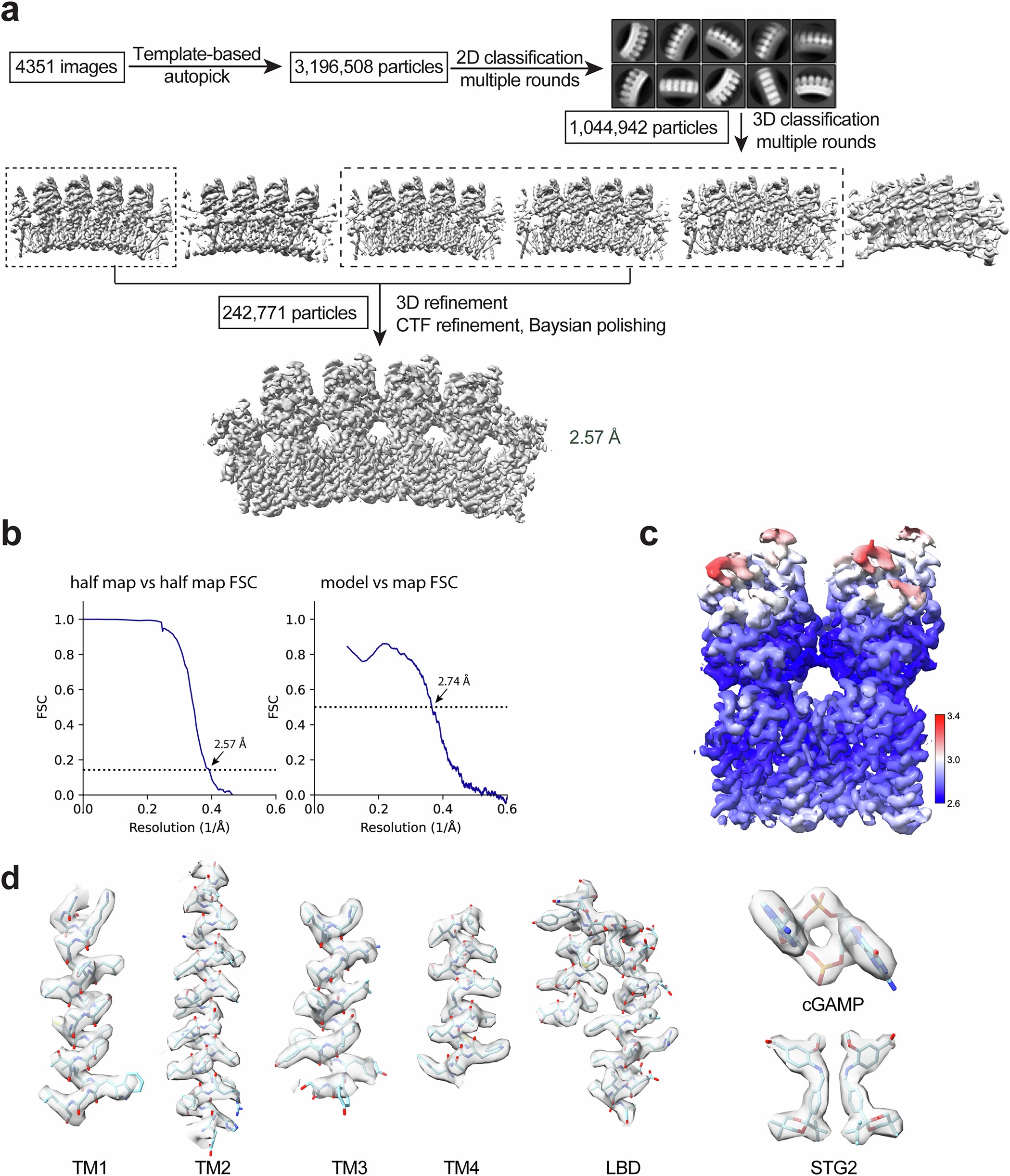 Extended Data Fig. 3