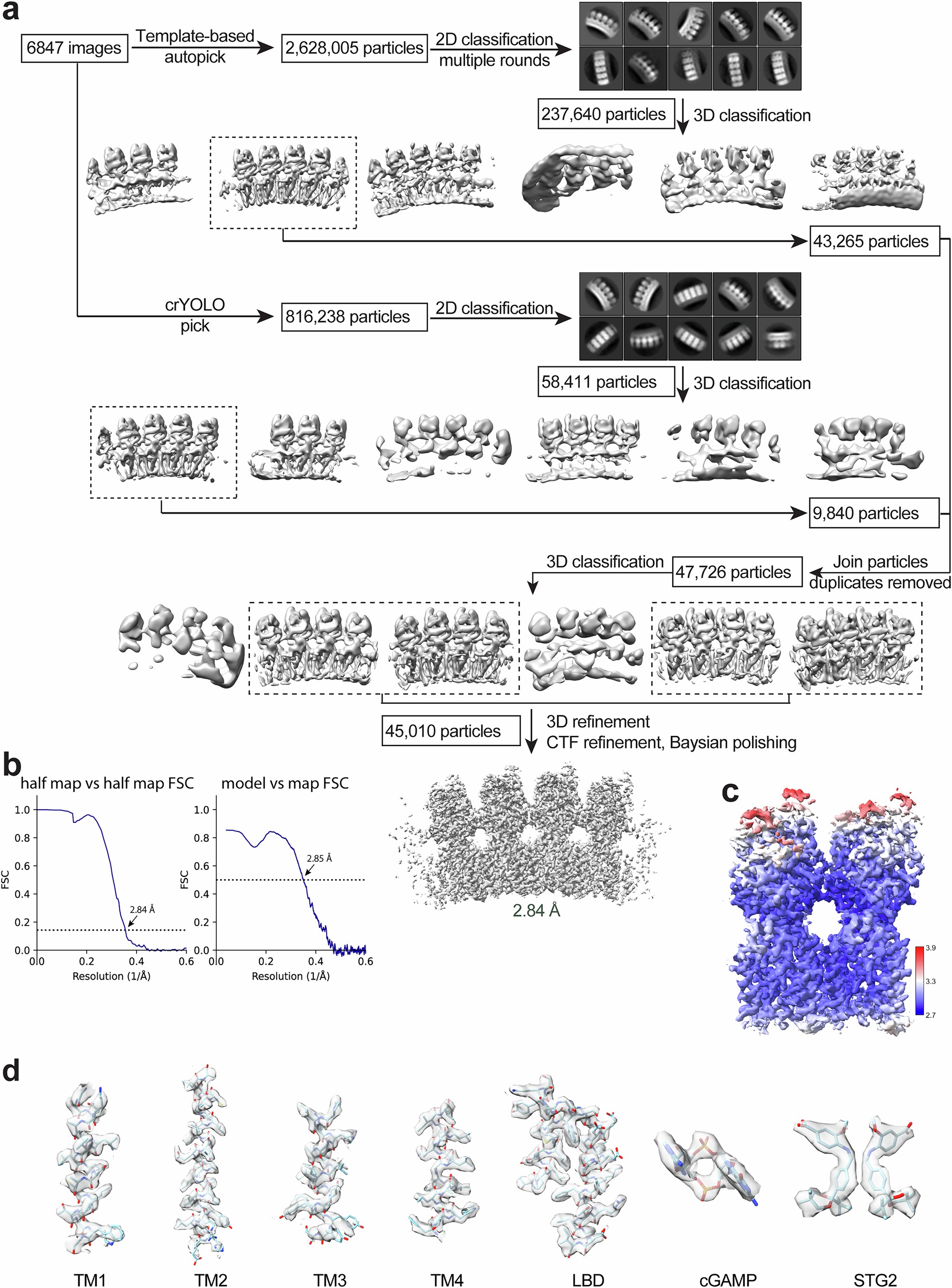 Extended Data Fig. 4